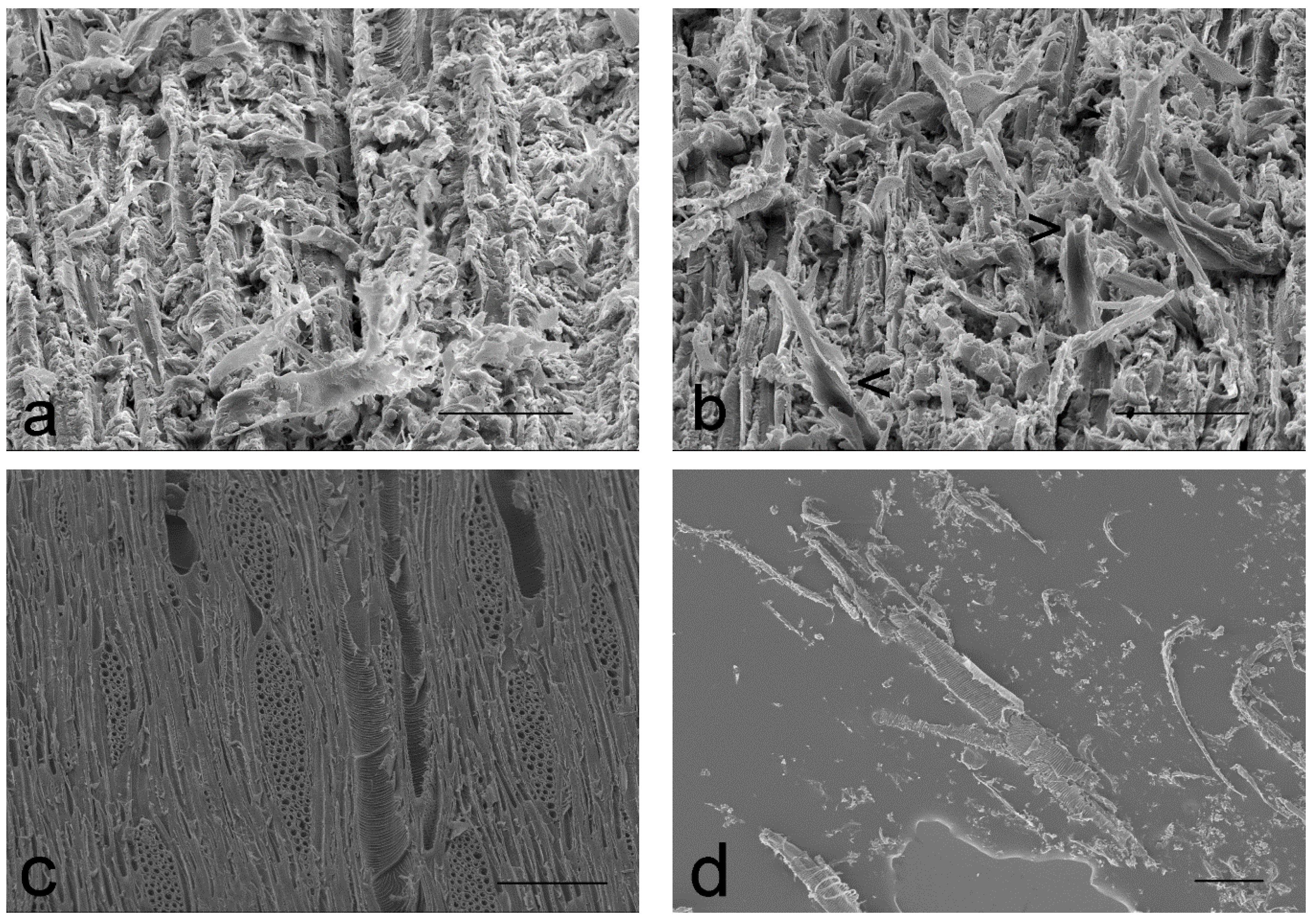 Coatings 07 00135 g006 550
