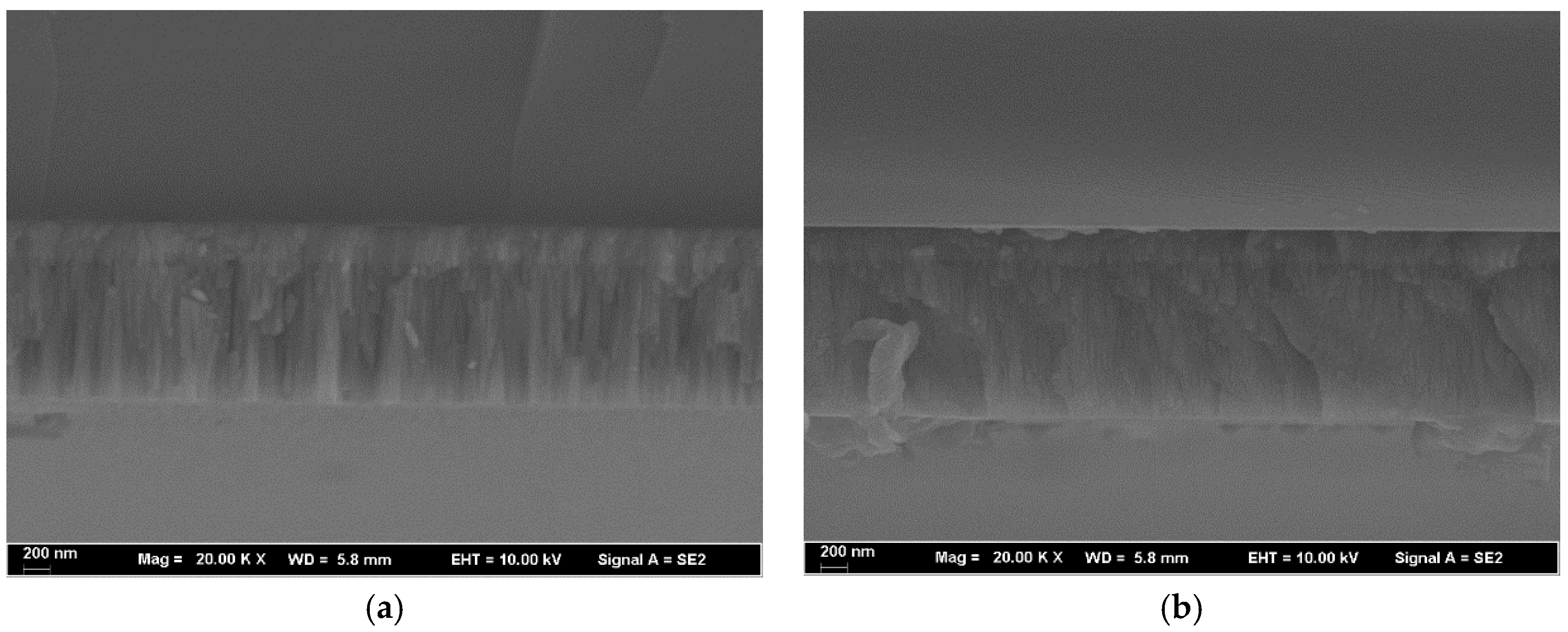 Coatings 07 00137 g002 550