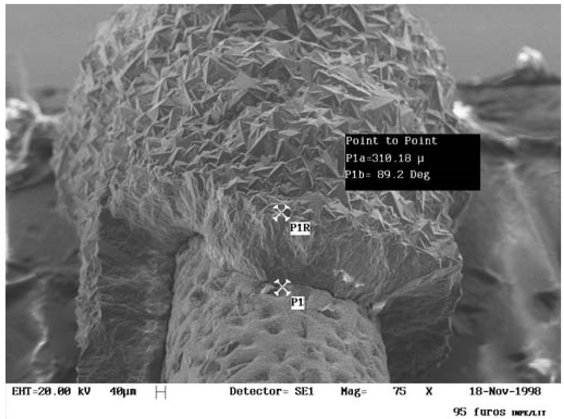 Coatings 07 00141 g001