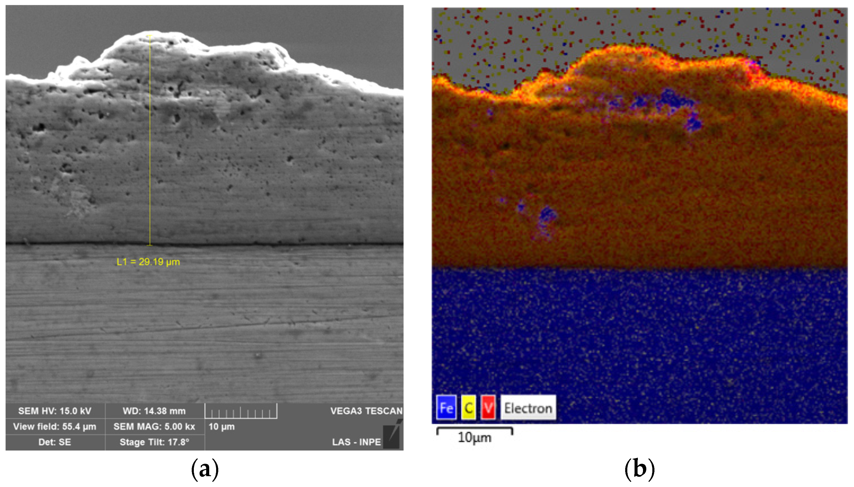 Coatings 07 00141 g003
