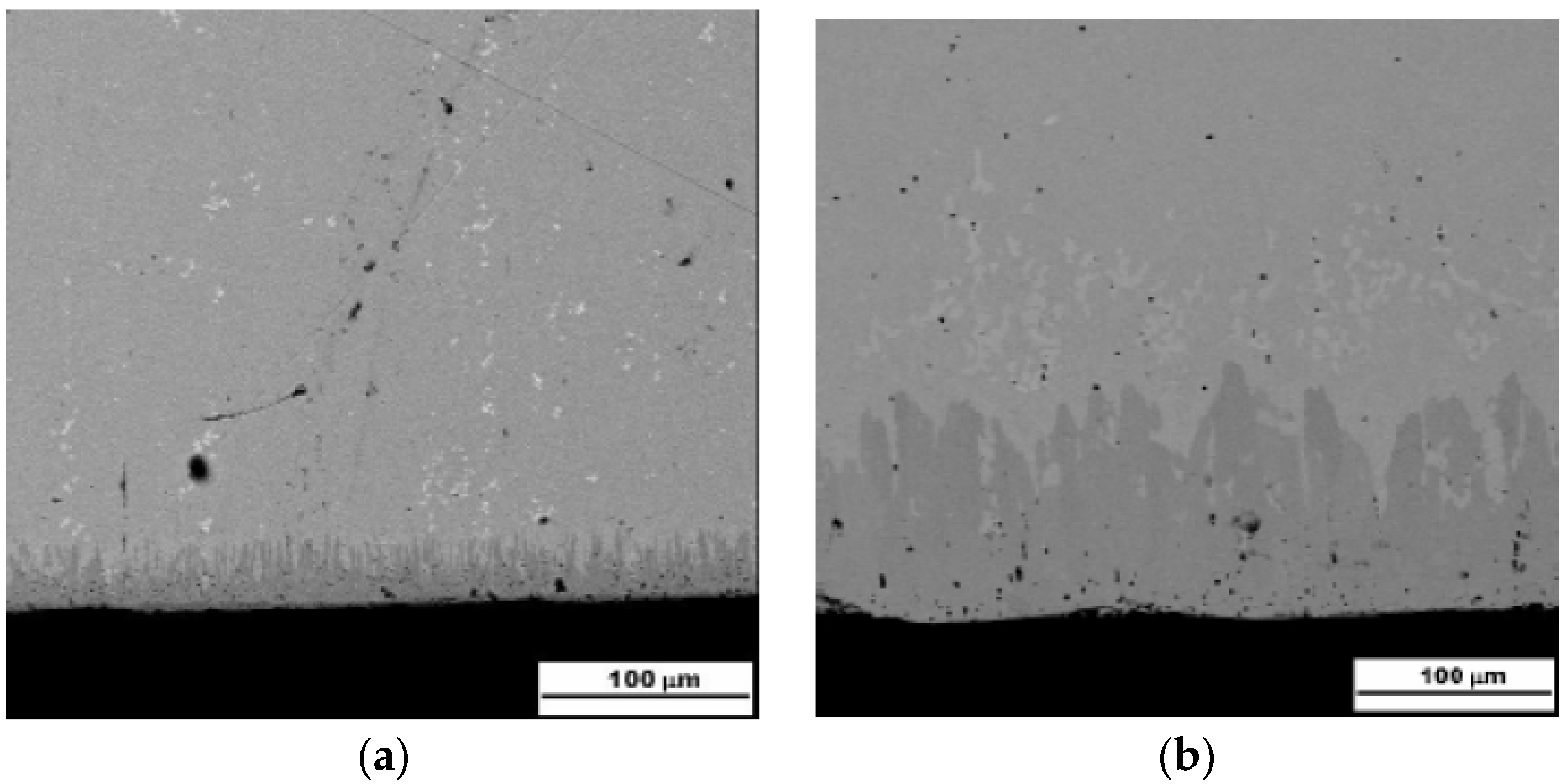 Coatings 07 00141 g004