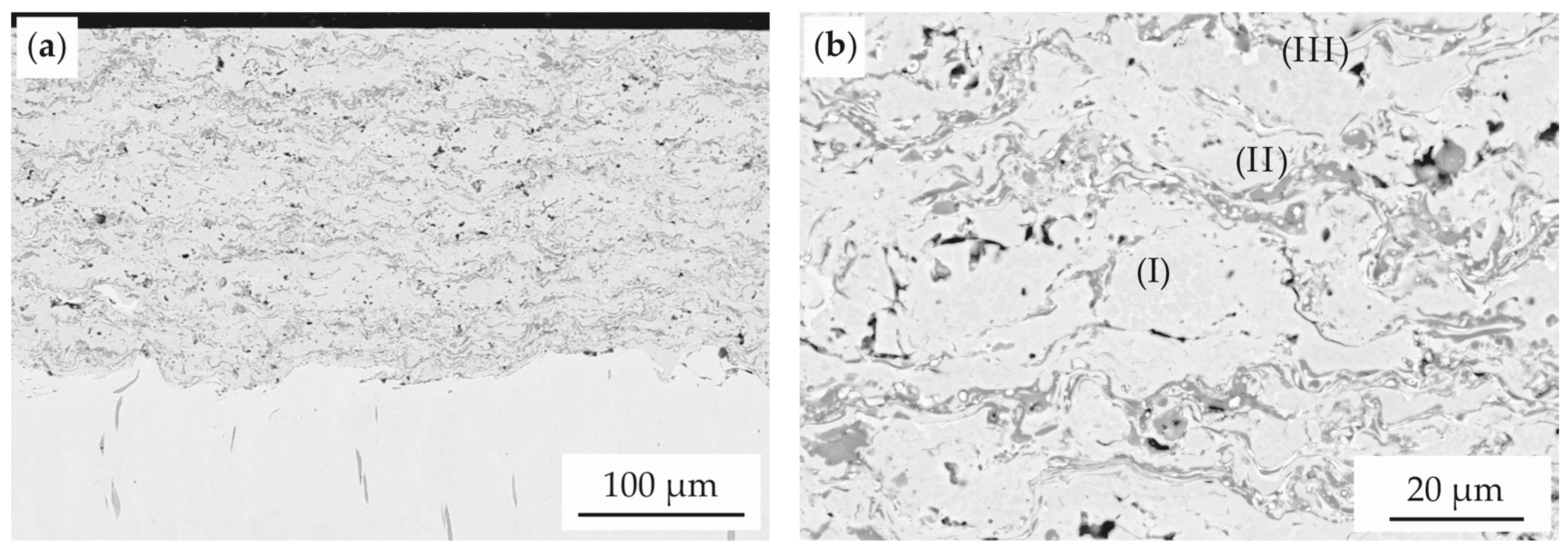 Coatings 07 00144 g003 550
