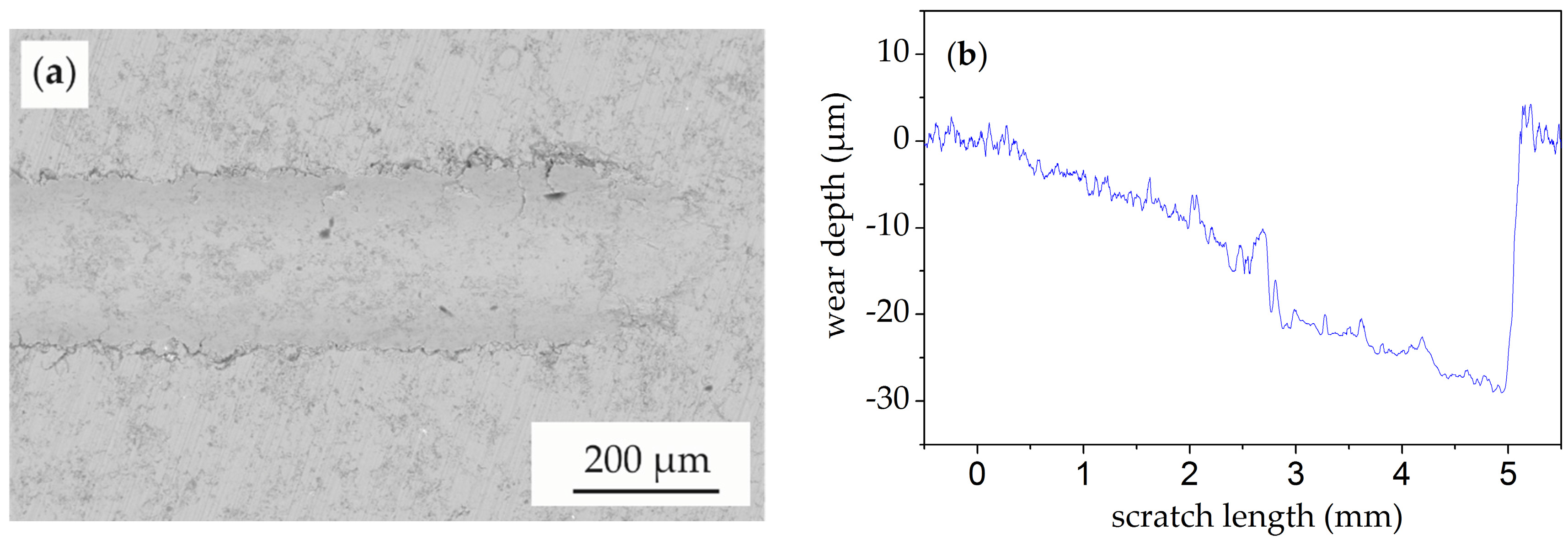 Coatings 07 00144 g006 550