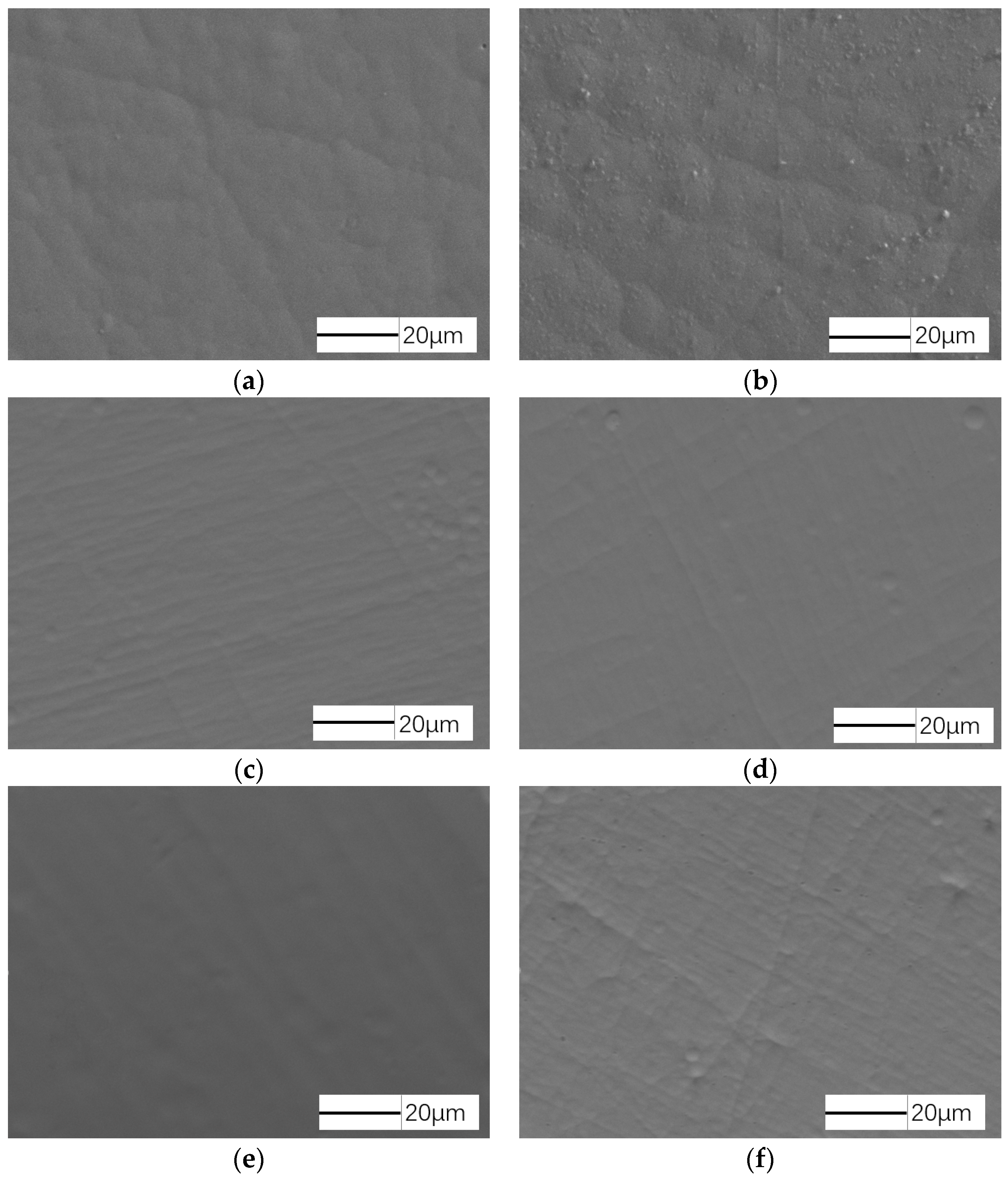 Coatings 07 00146 g001 550