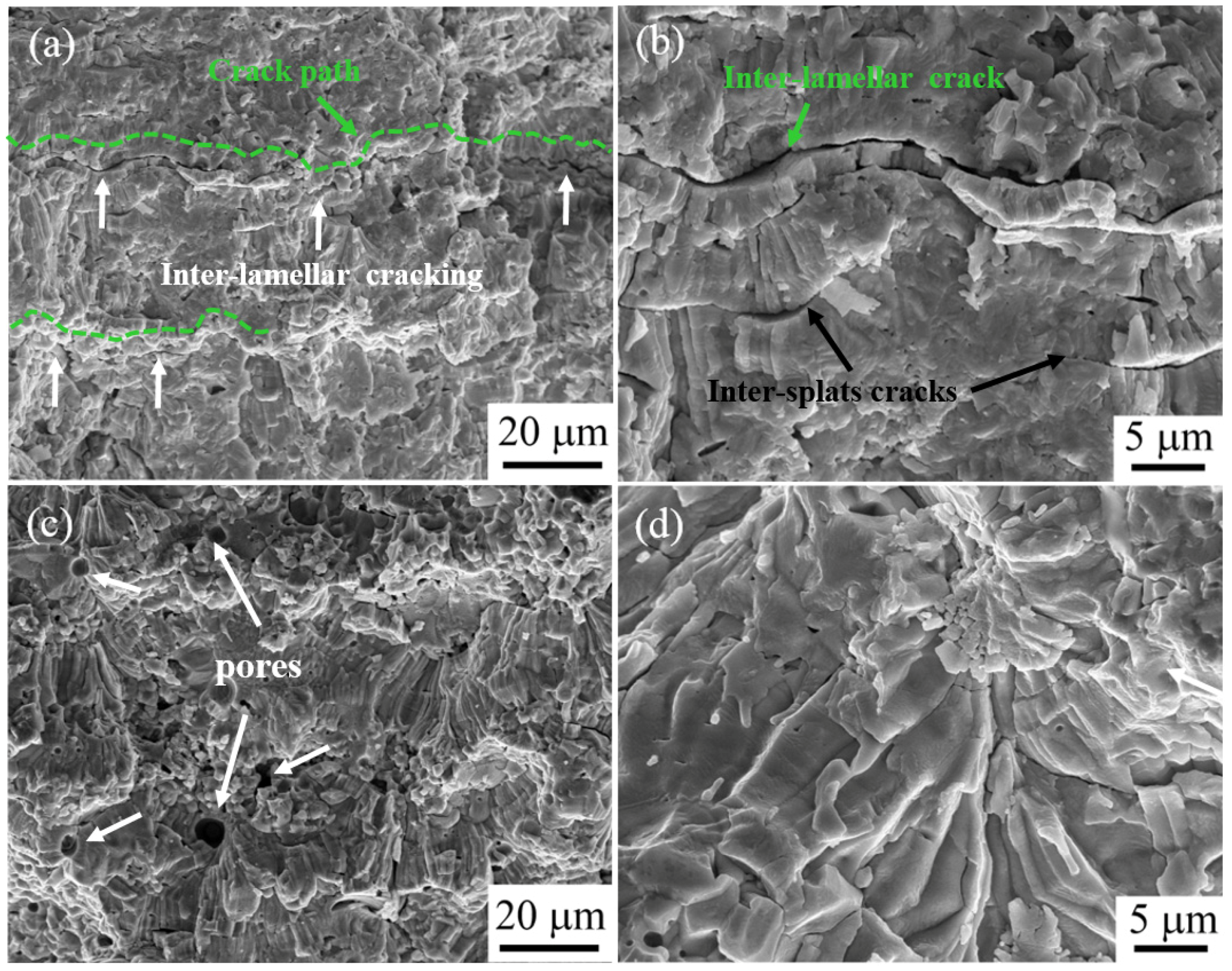 Coatings 07 00150 g006 Coatings 07 00150 g006