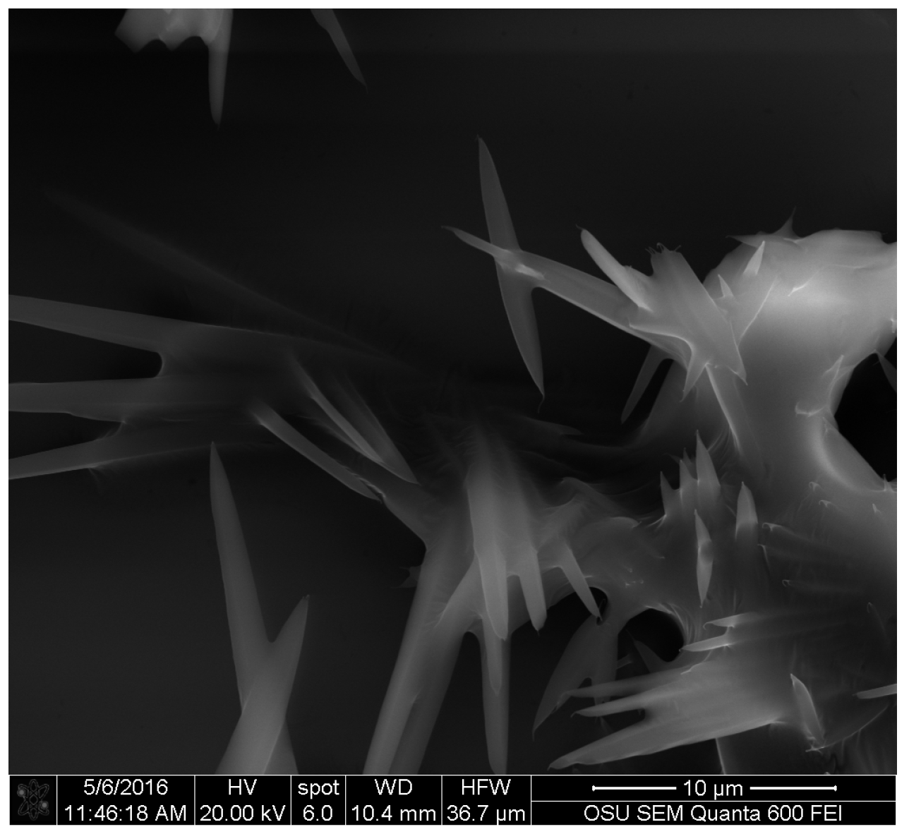 Coatings 07 00152 g001