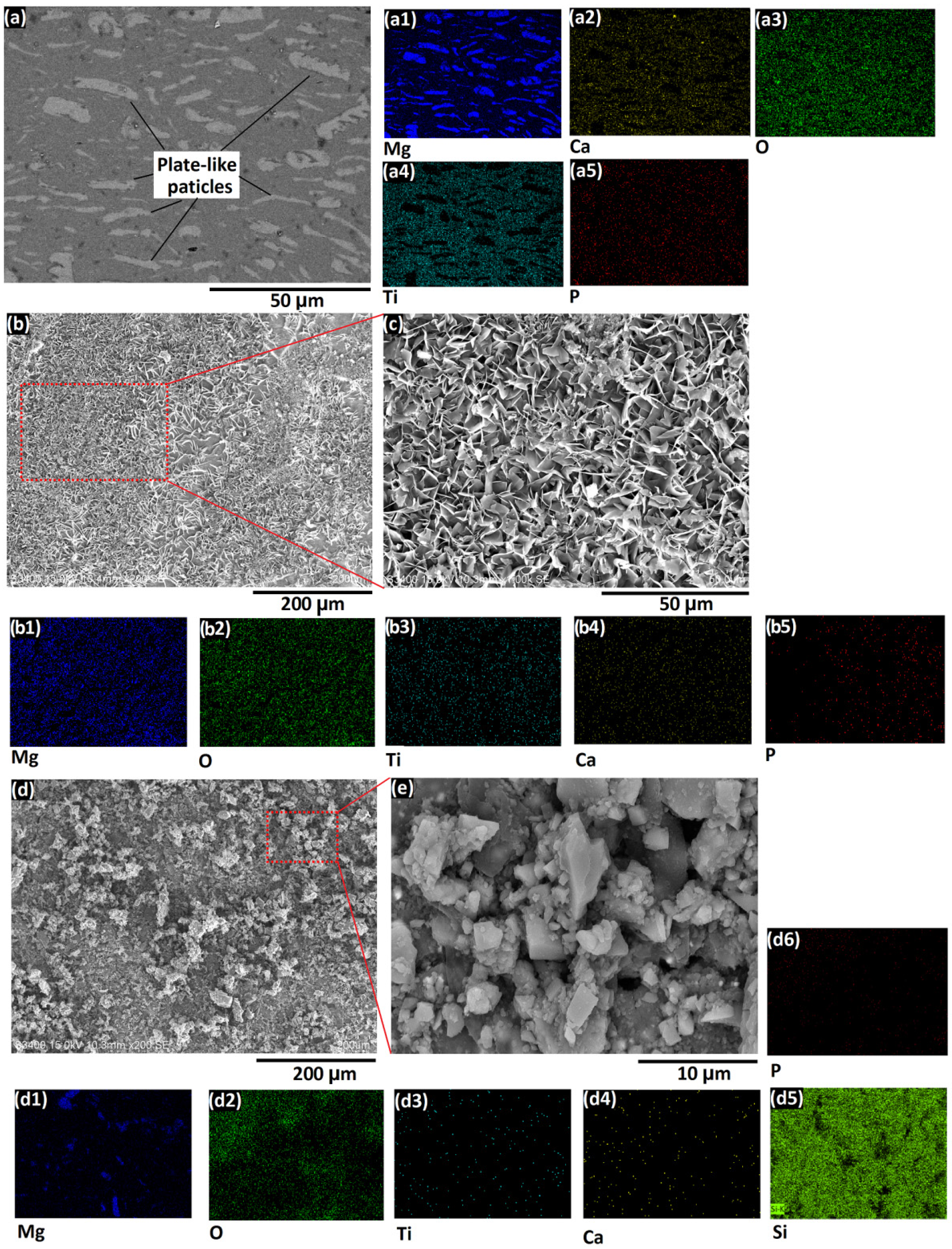 Coatings 07 00154 g004