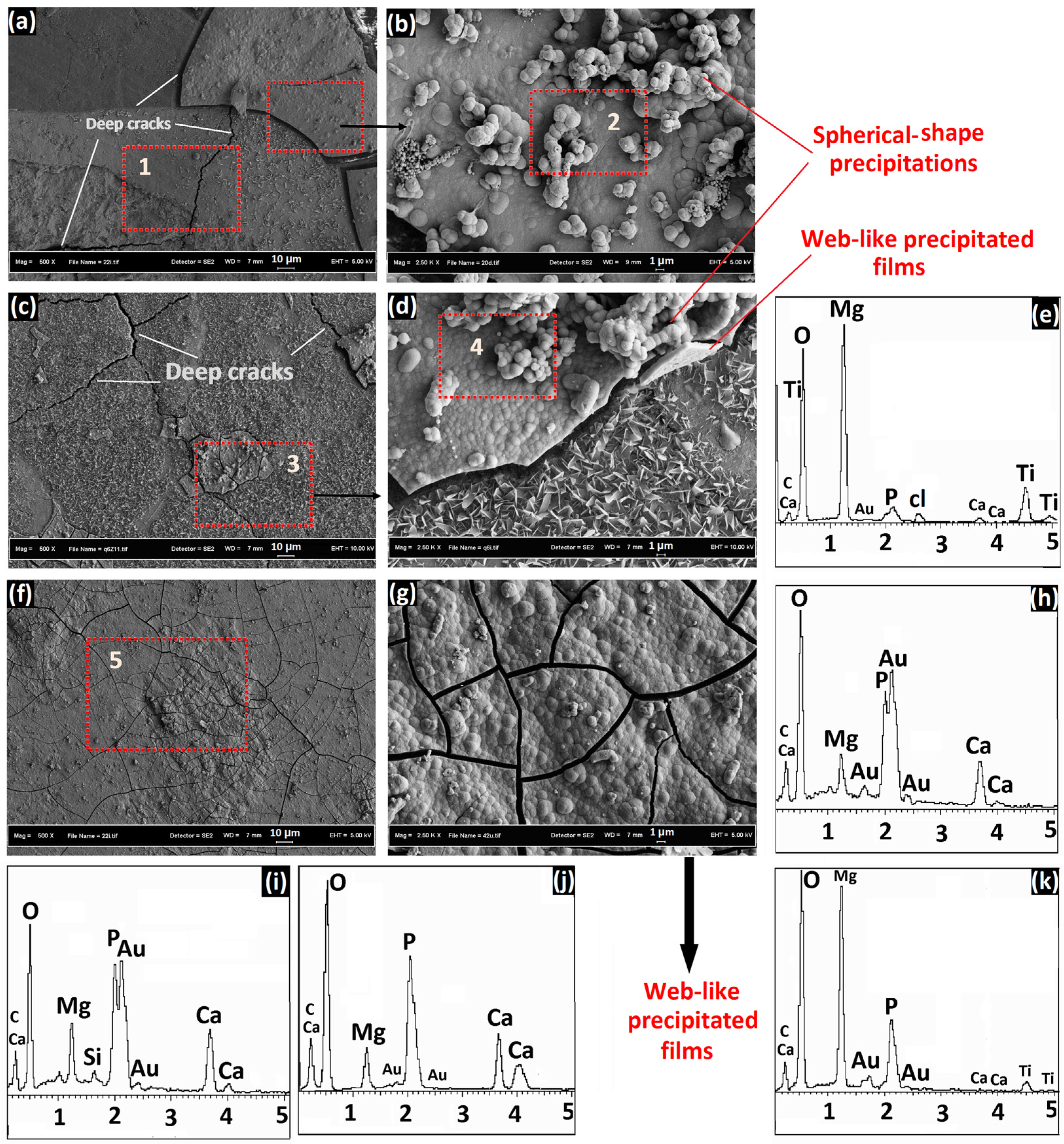 Coatings 07 00154 g011