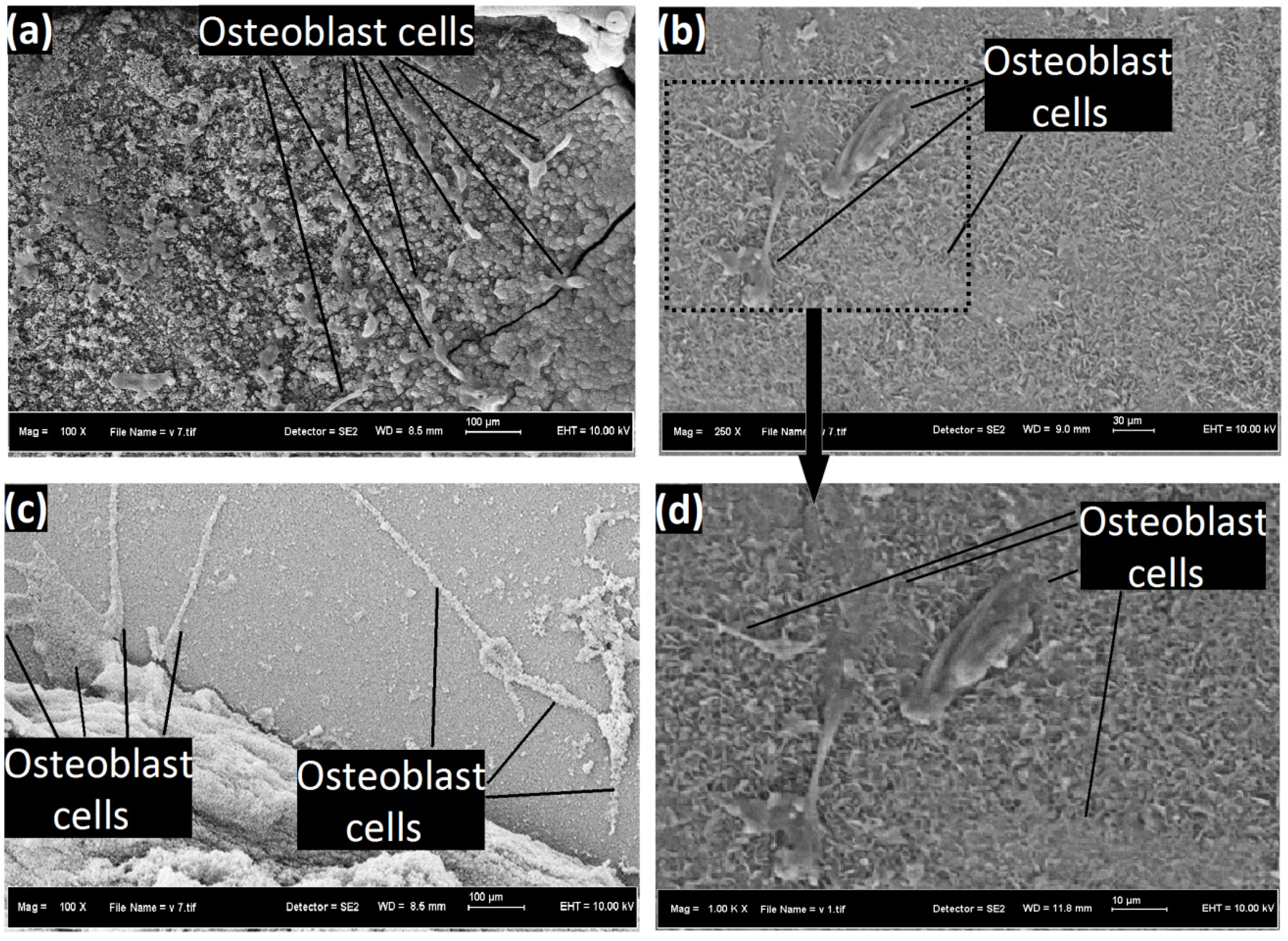 Coatings 07 00154 g016