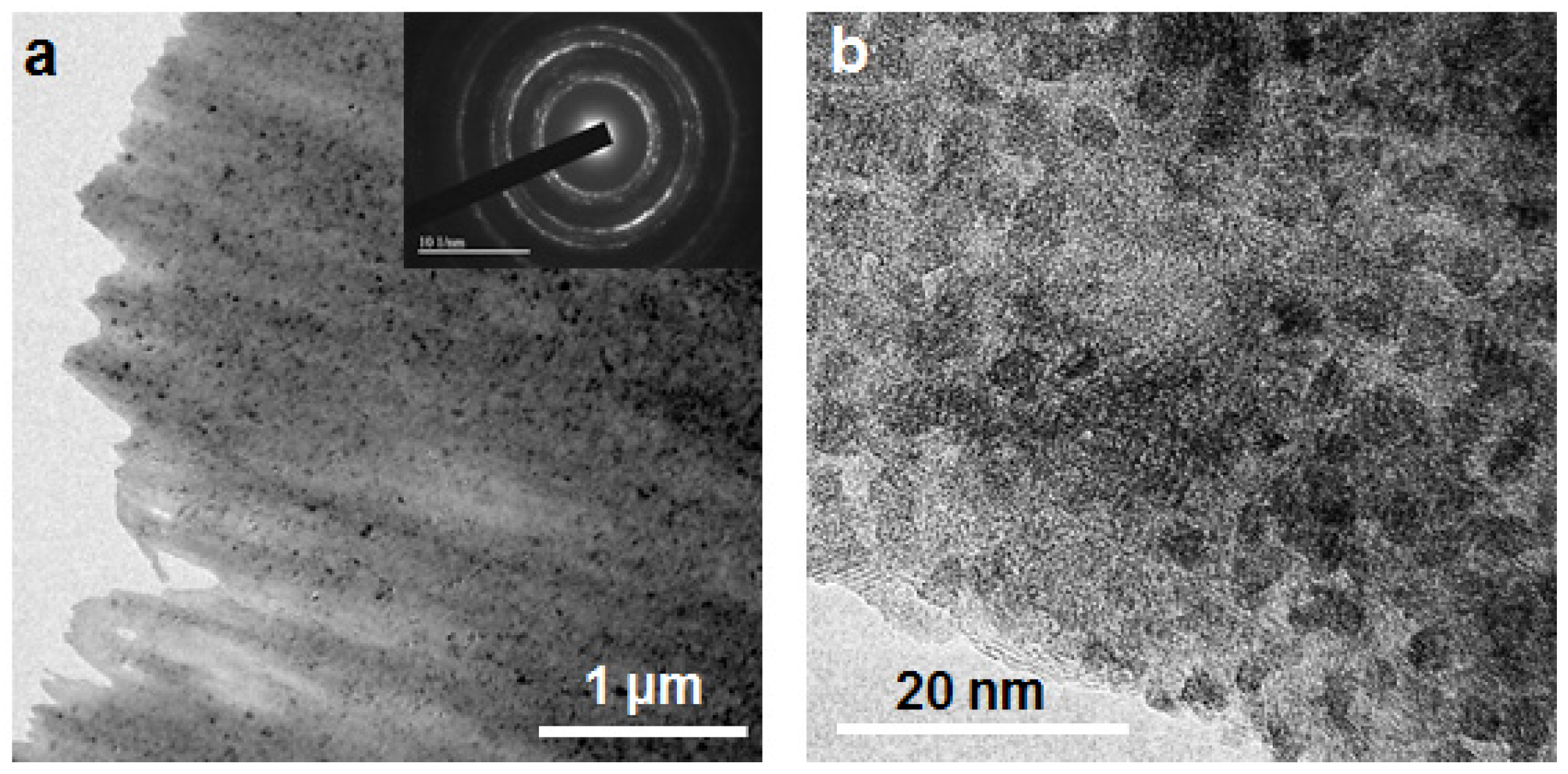 Coatings 07 00156 g004 550