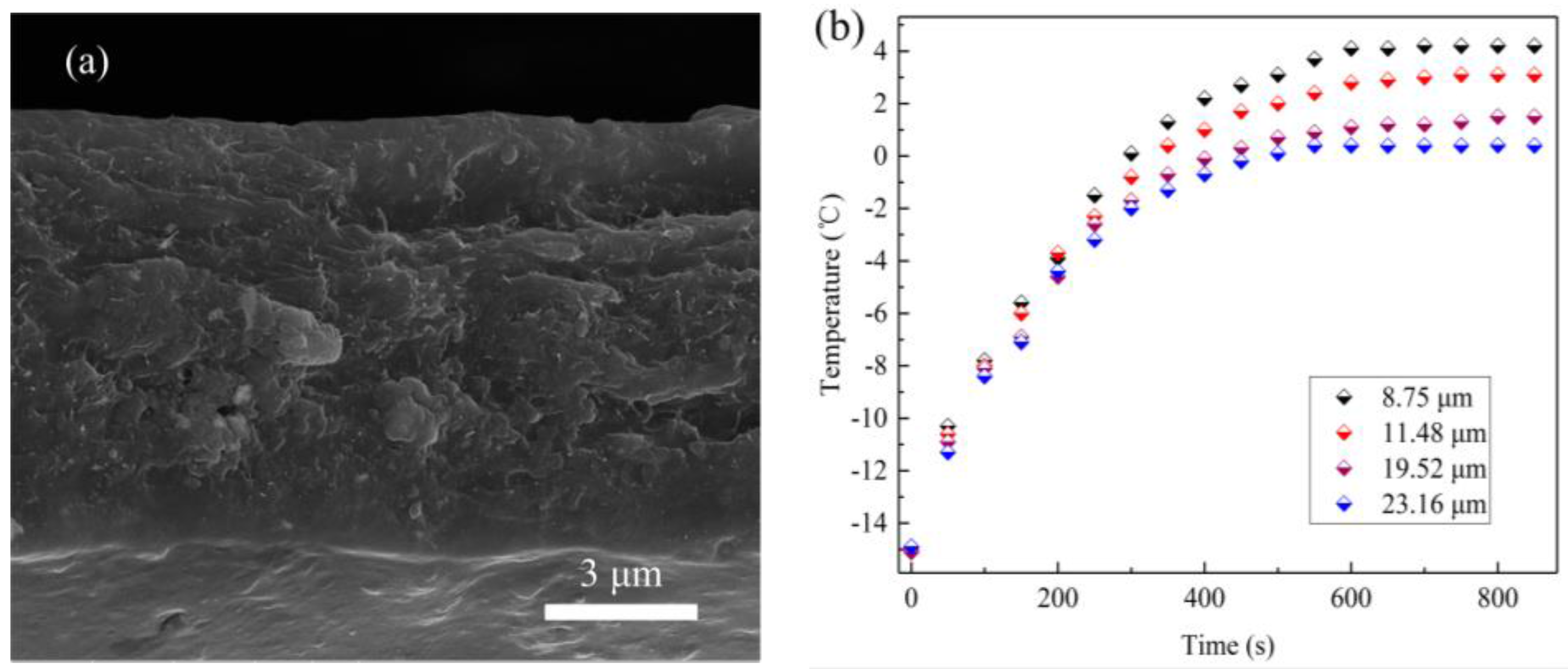 Coatings 07 00158 g006