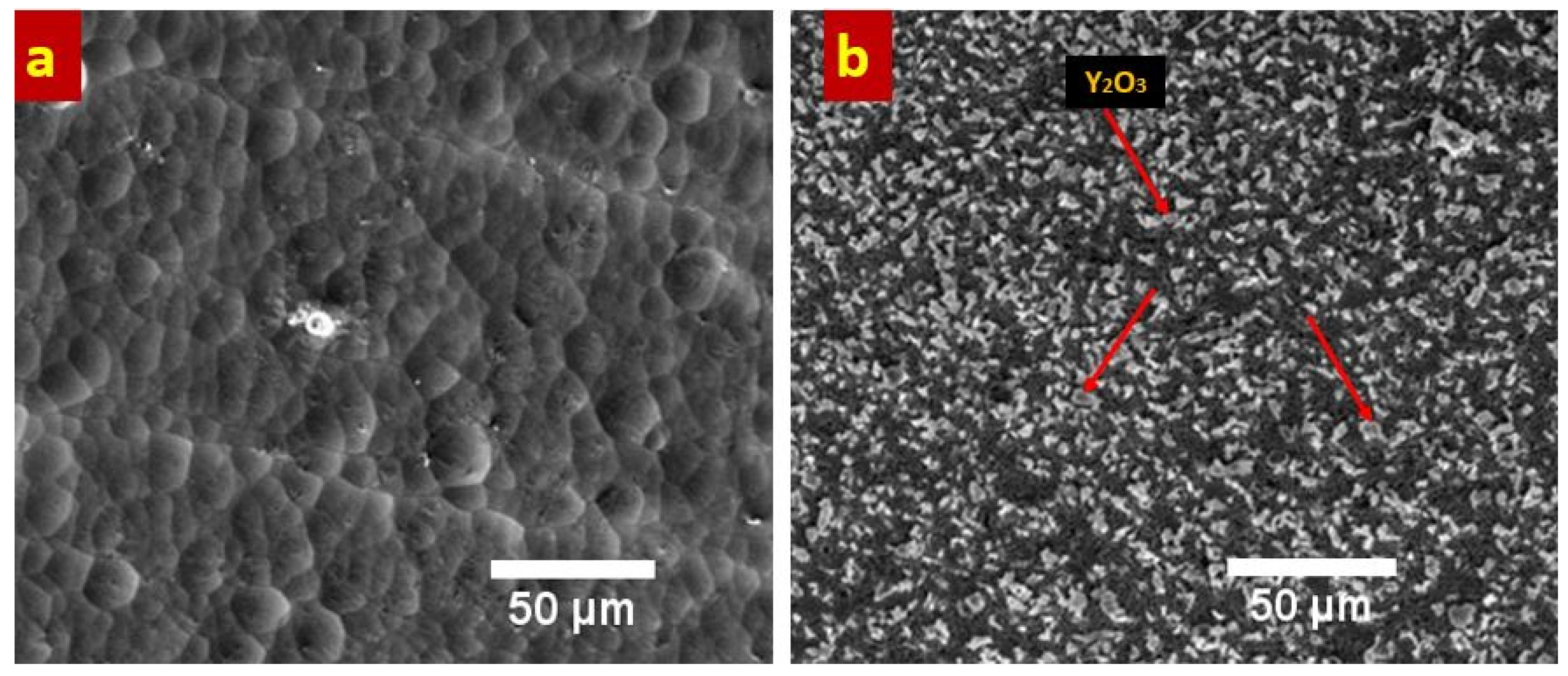Coatings 07 00161 g003