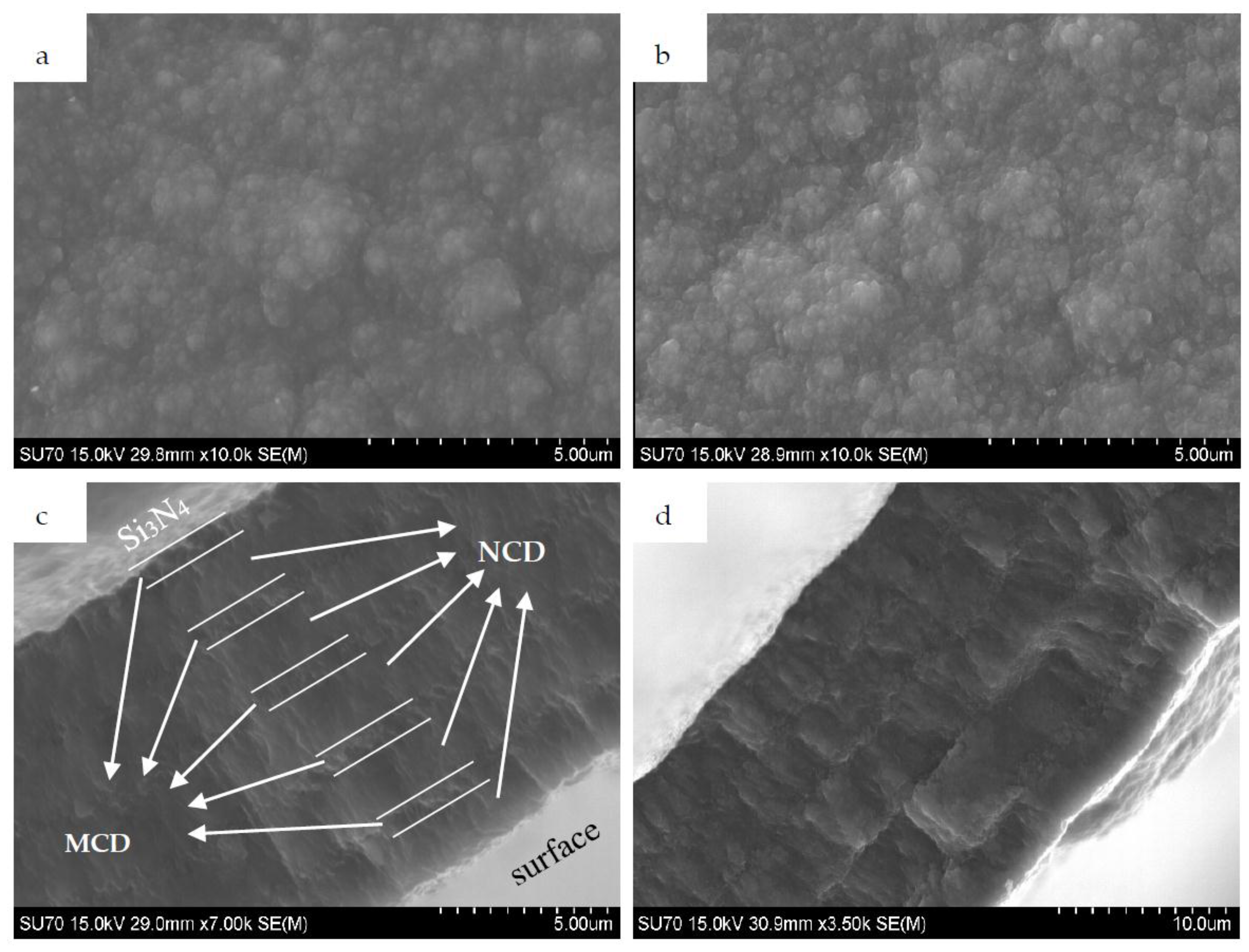 Coatings 07 00165 g002