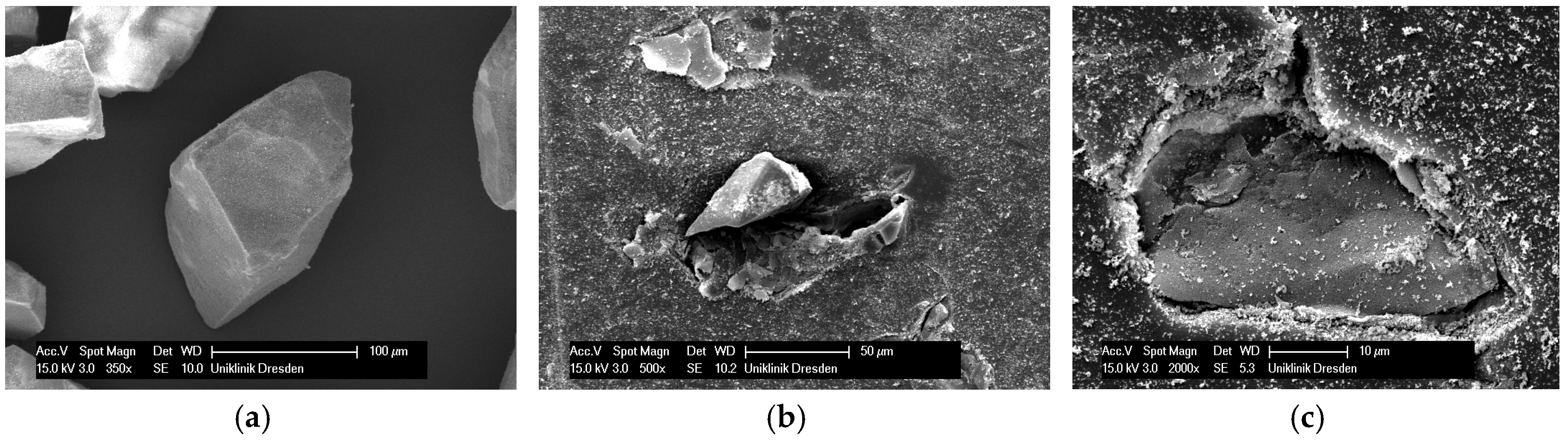 Coatings 07 00168 g008