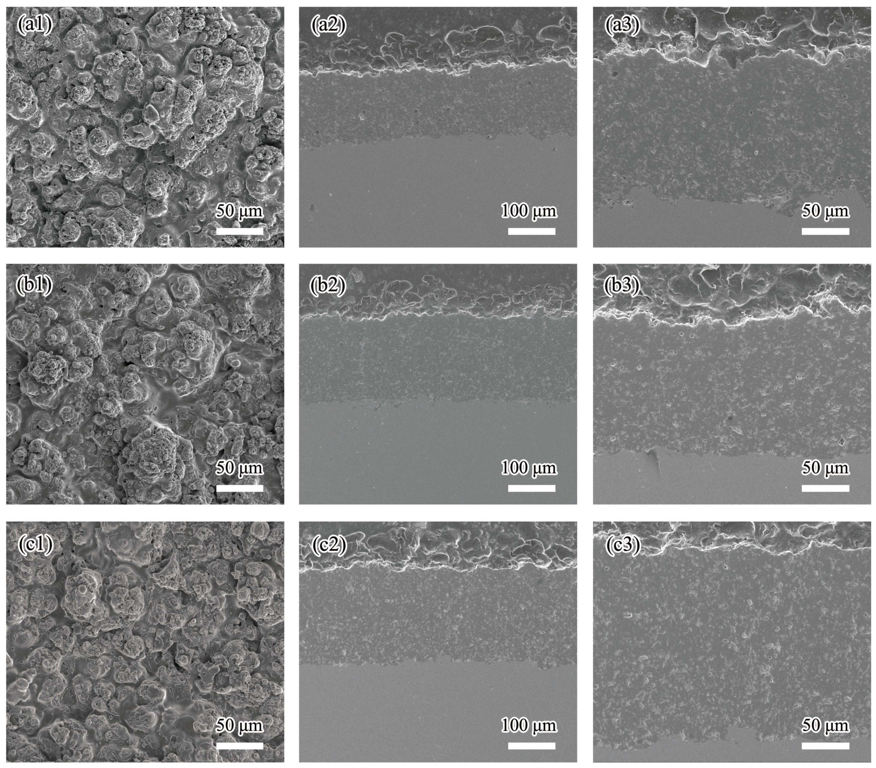 Coatings 07 00169 g003