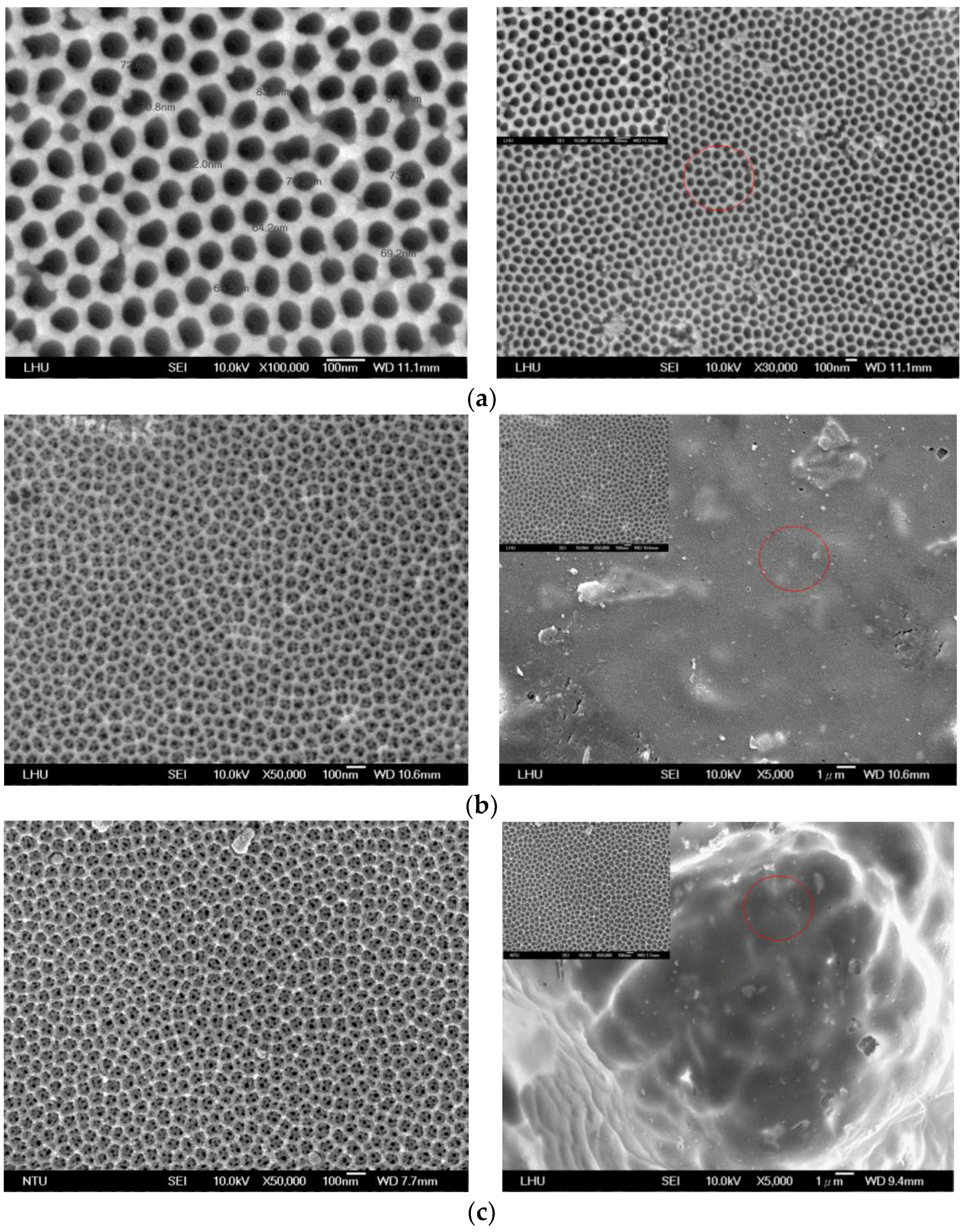 Coatings 07 00179 g003
