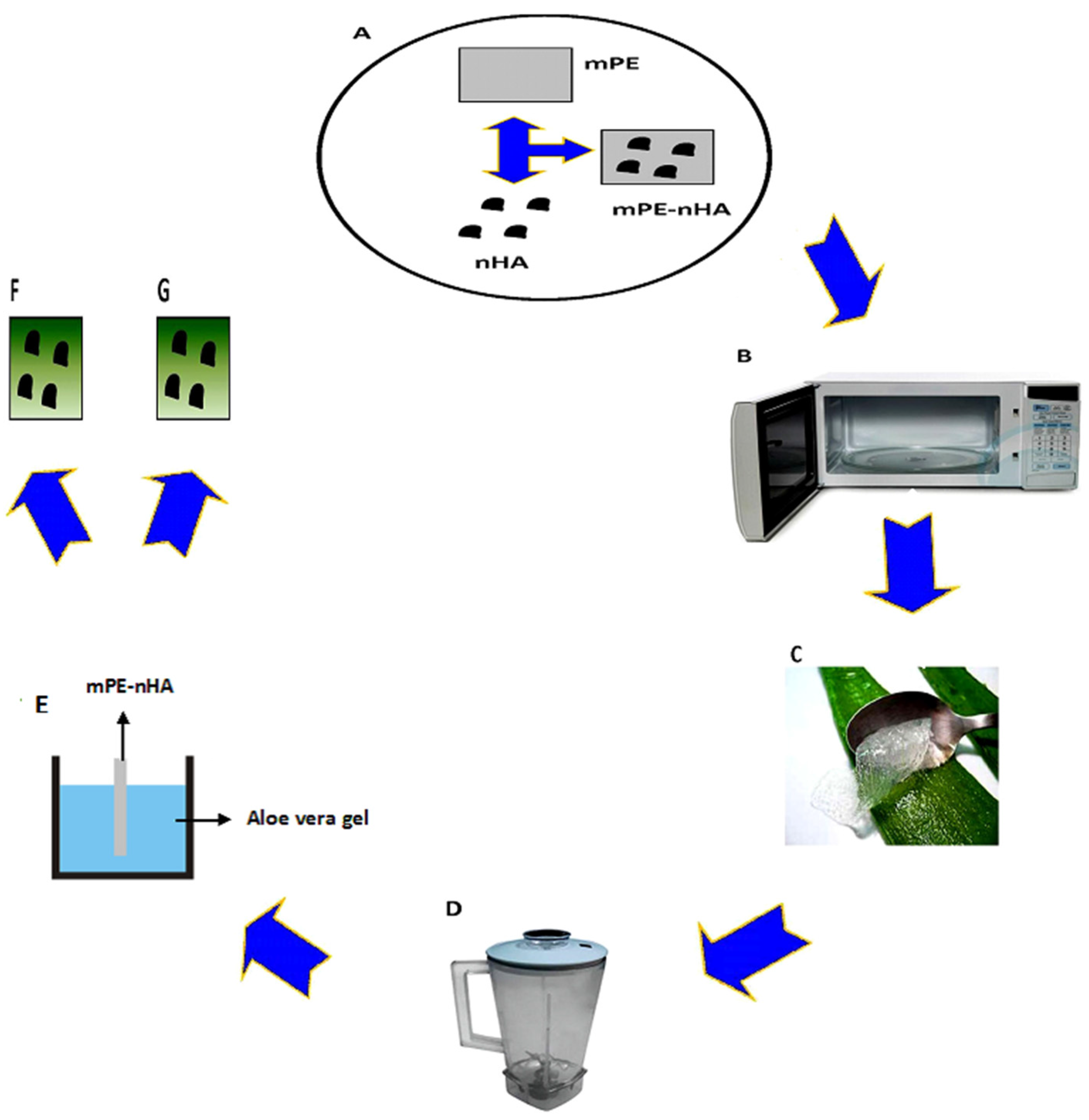Coatings 07 00182 g001 550