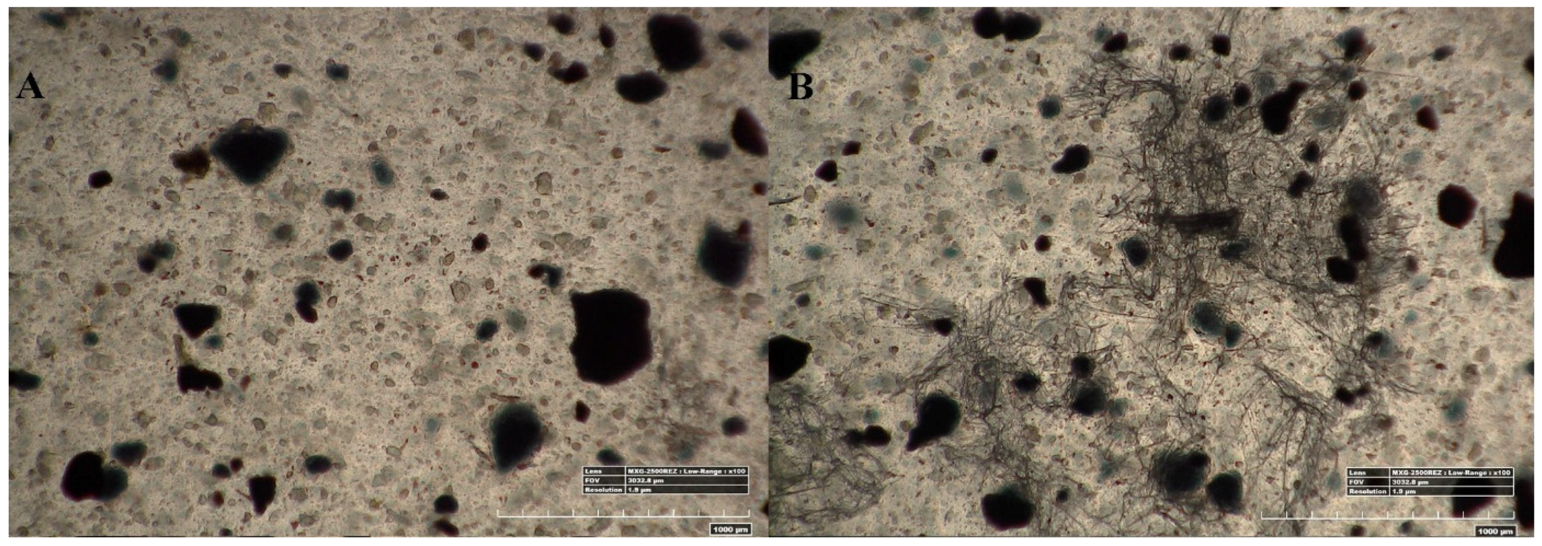 Coatings 07 00182 g004a 550