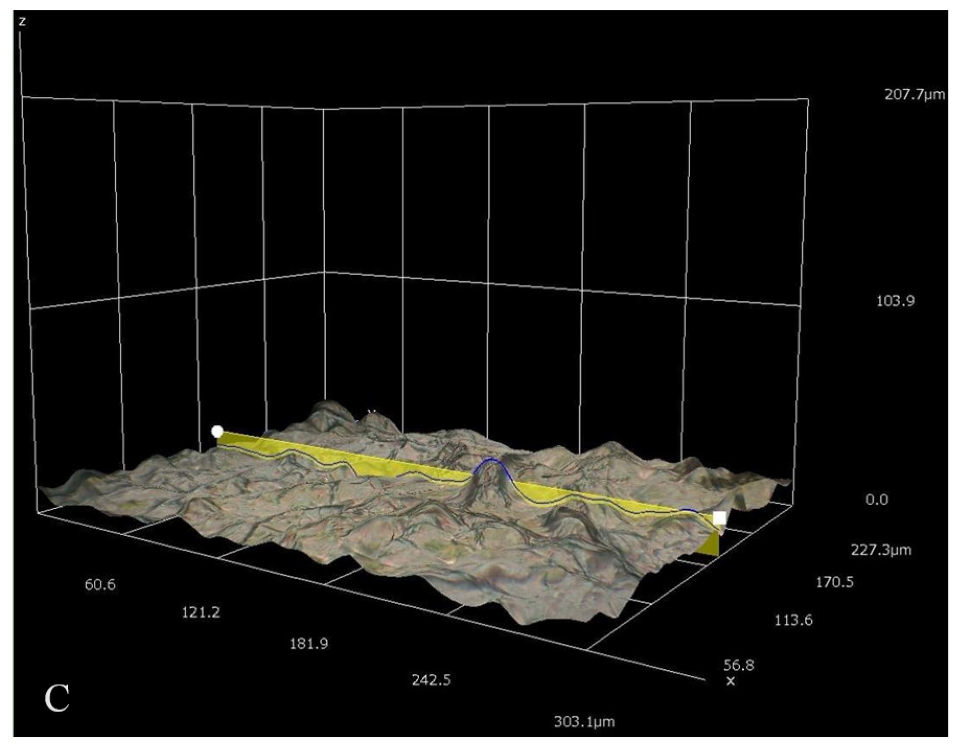 Coatings 07 00182 g006b 550