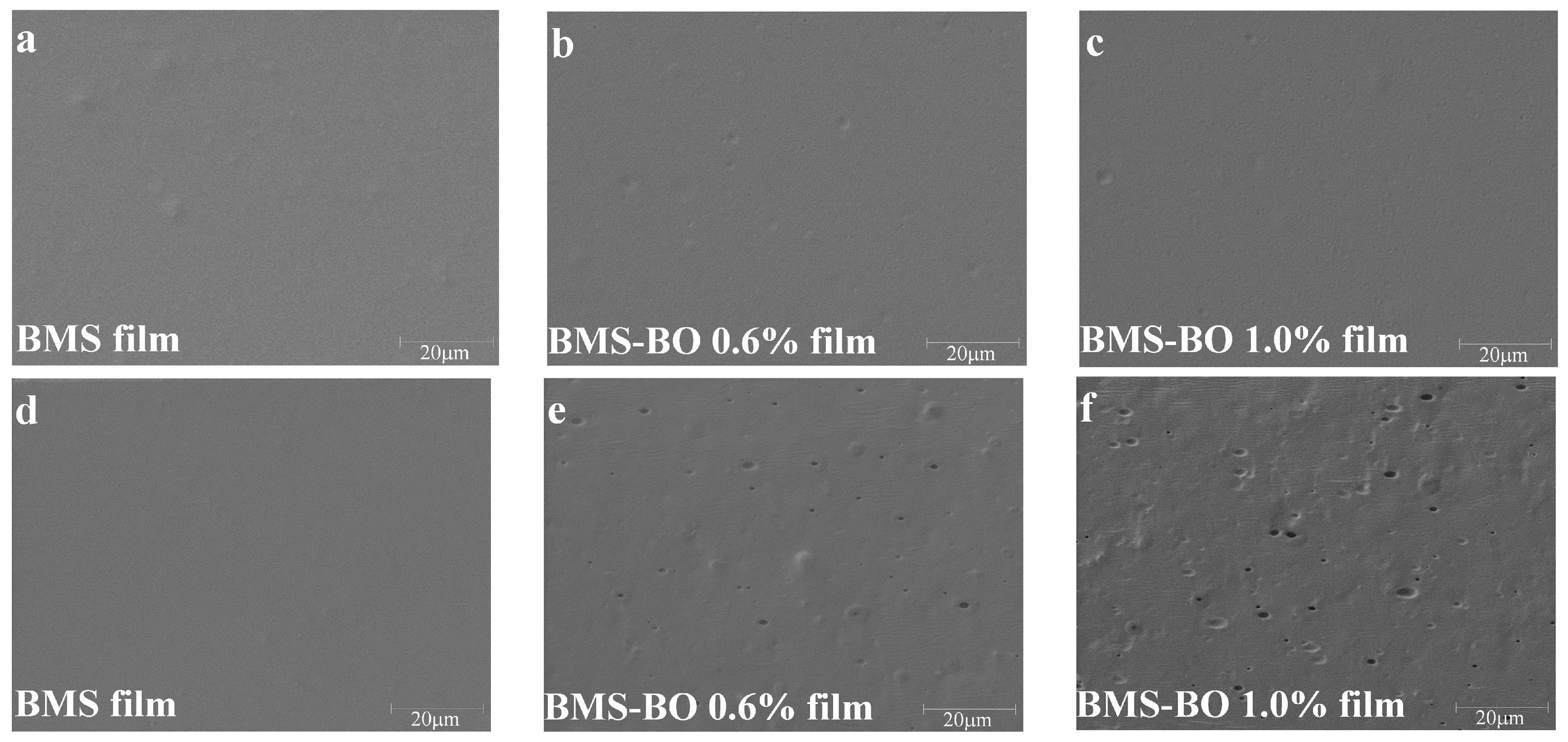 Coatings 07 00183 g002