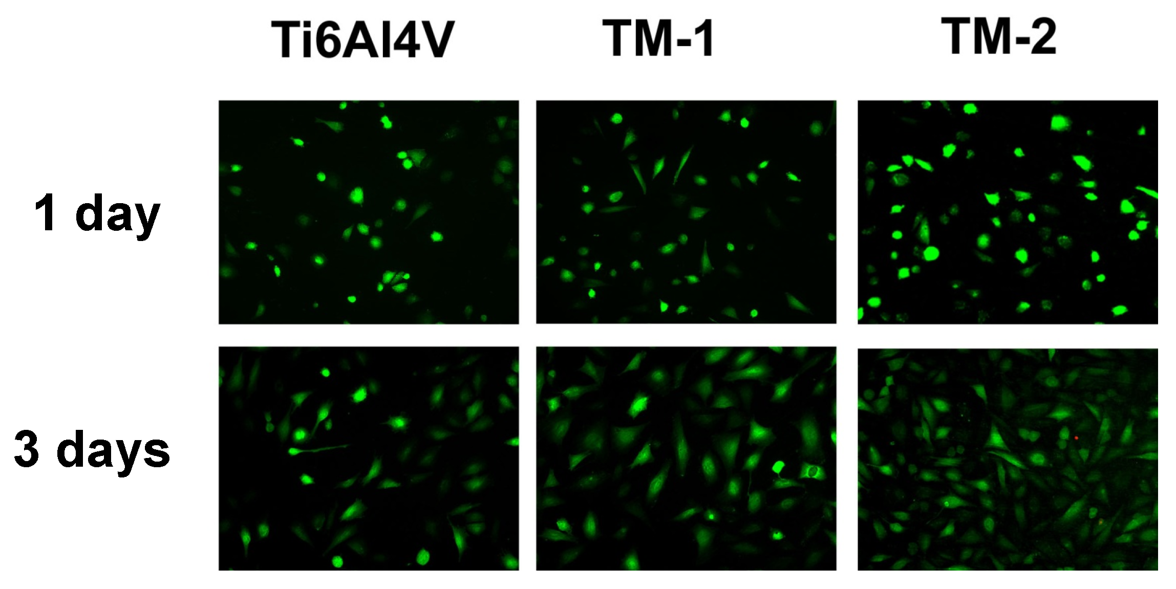 Coatings 07 00184 g008 Coatings 07 00184 g008
