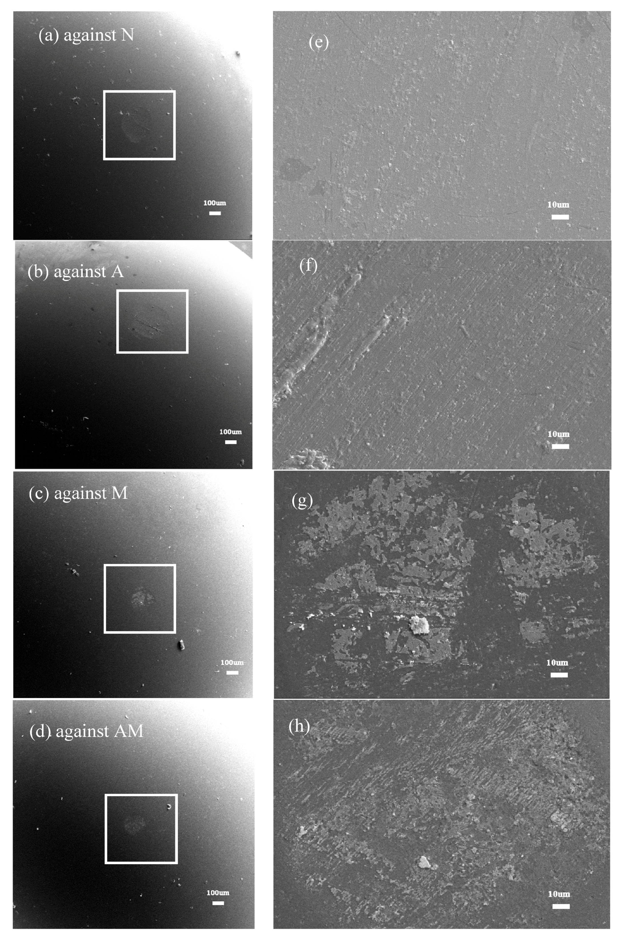 Coatings 07 00191 g008 550