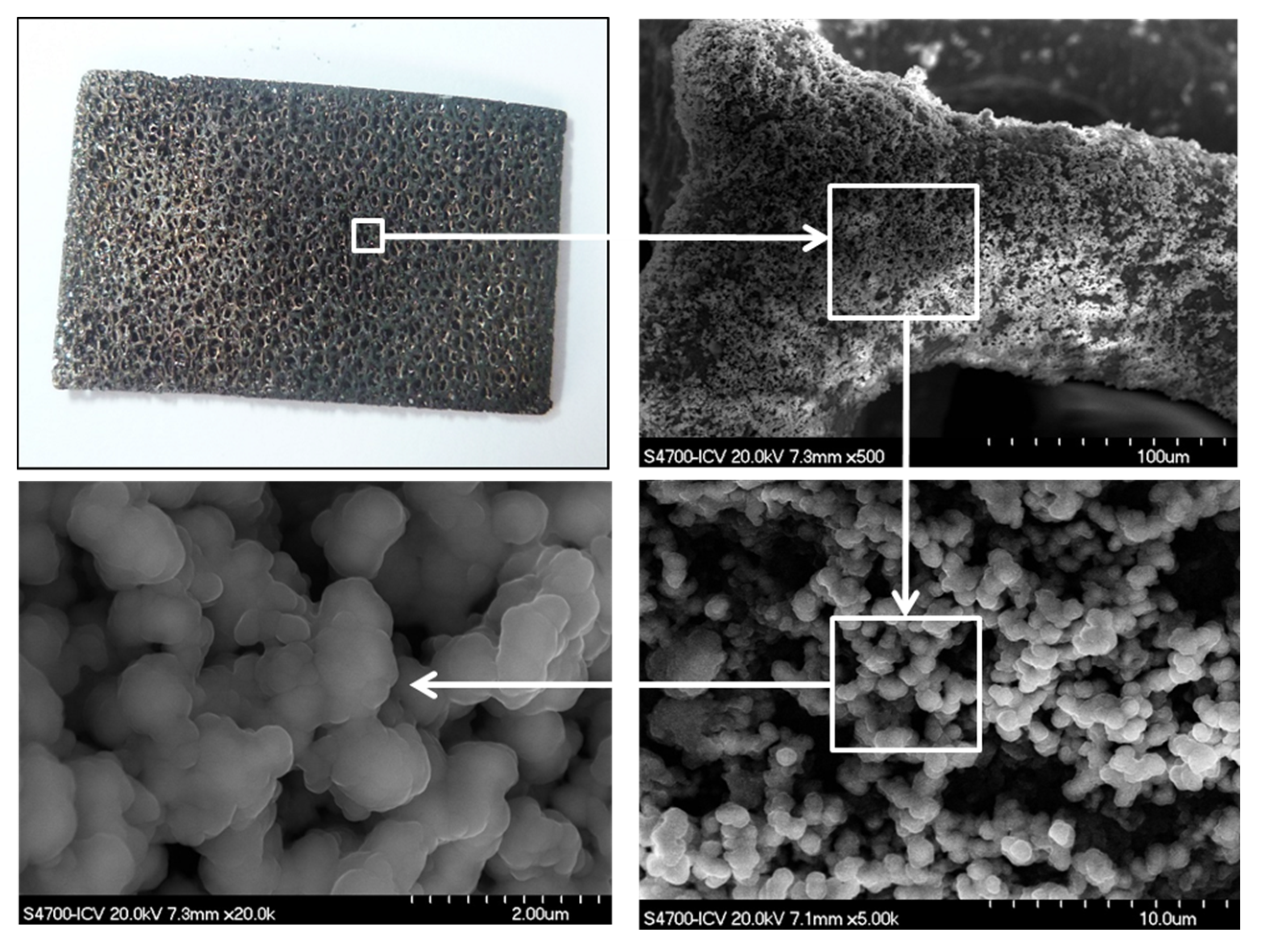 Coatings 07 00193 g005