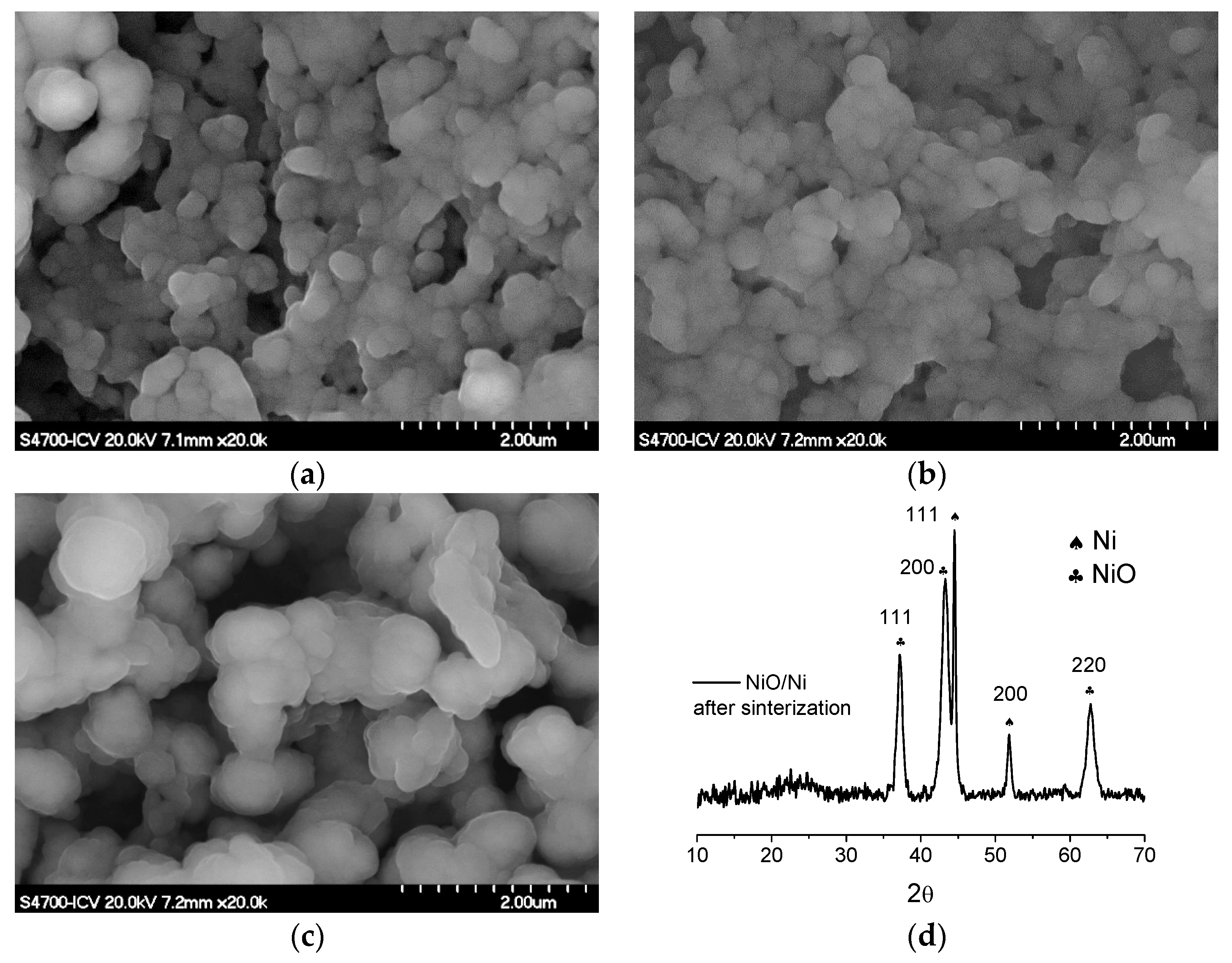 Coatings 07 00193 g006