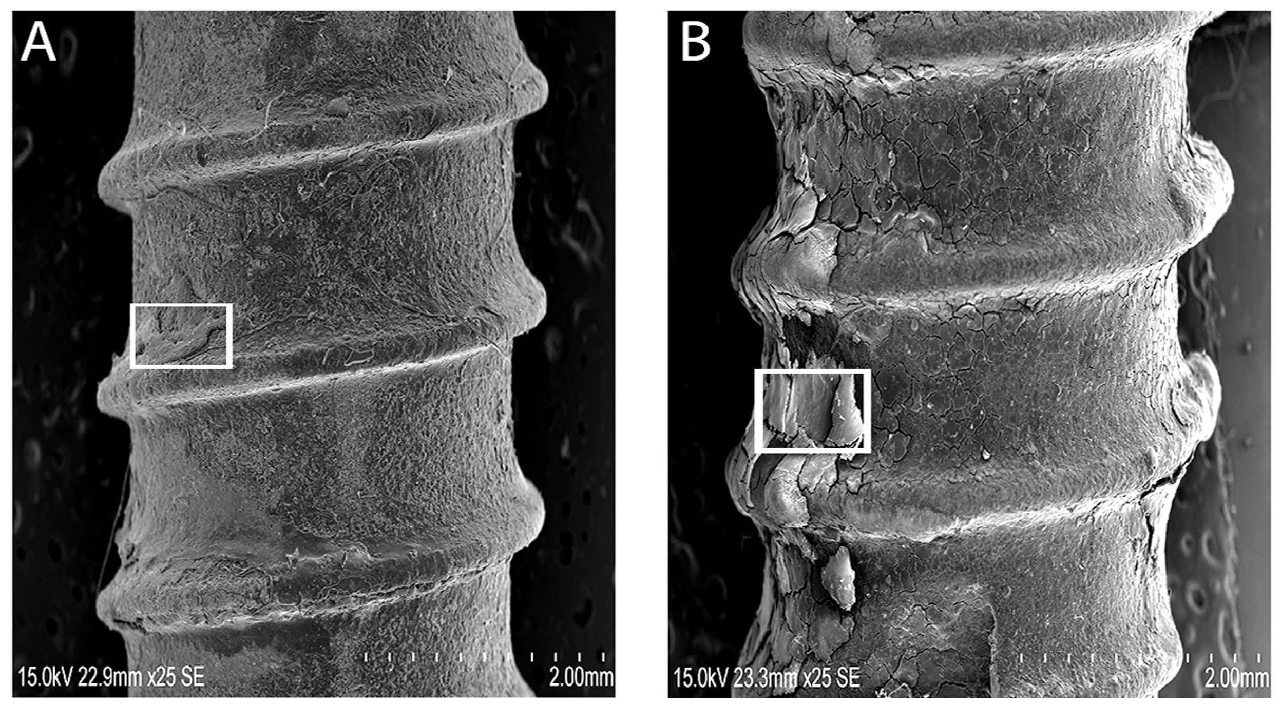 Coatings 07 00201 g002 550