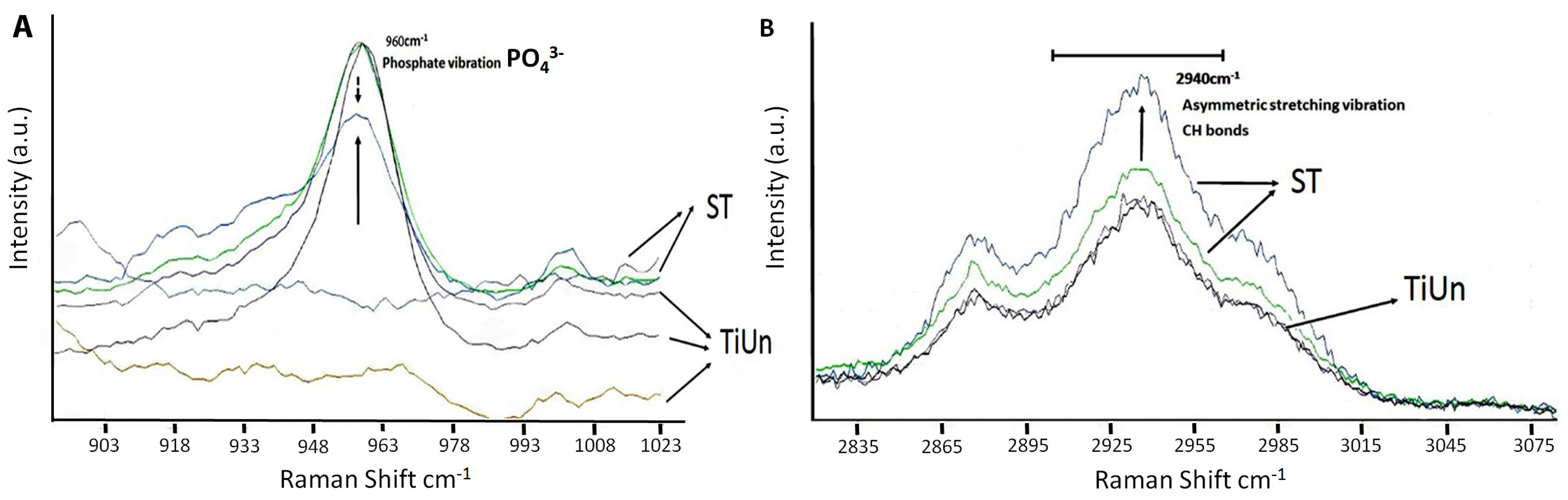 Coatings 07 00201 g004 550