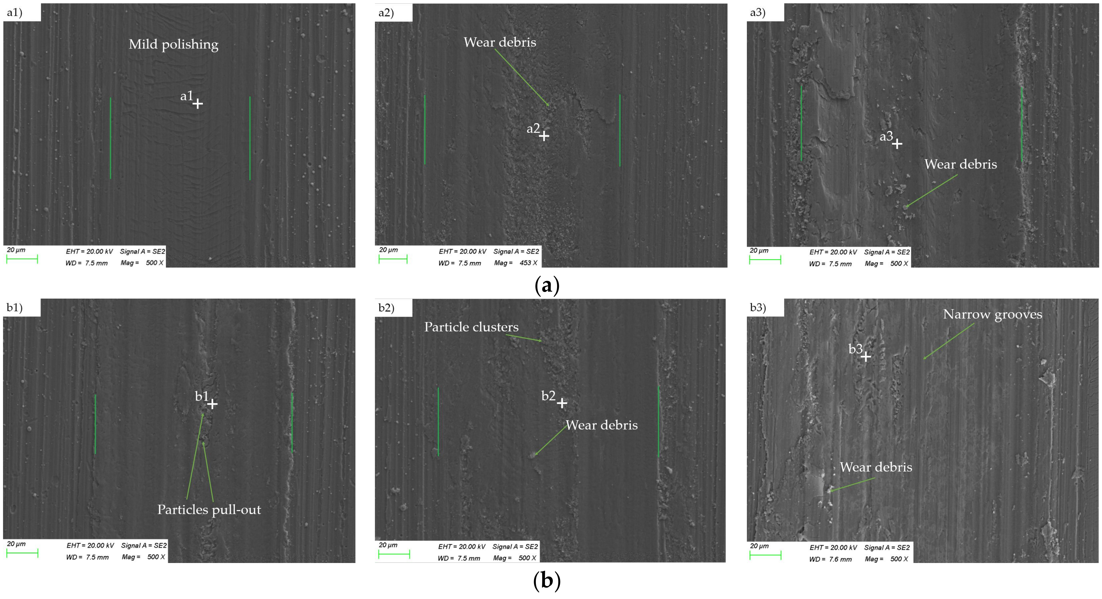 Coatings 07 00202 g008 550
