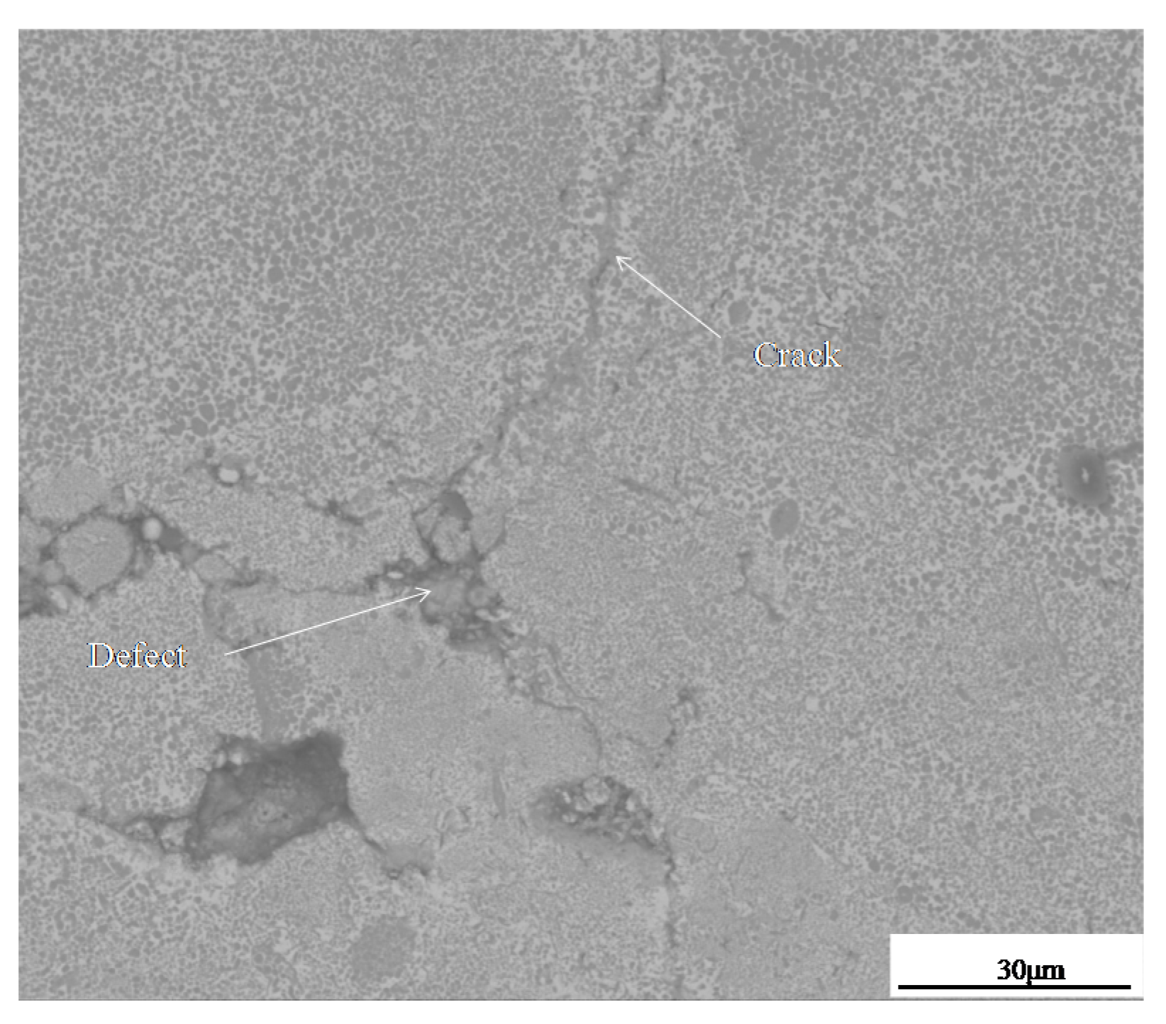 Coatings 07 00203 g014