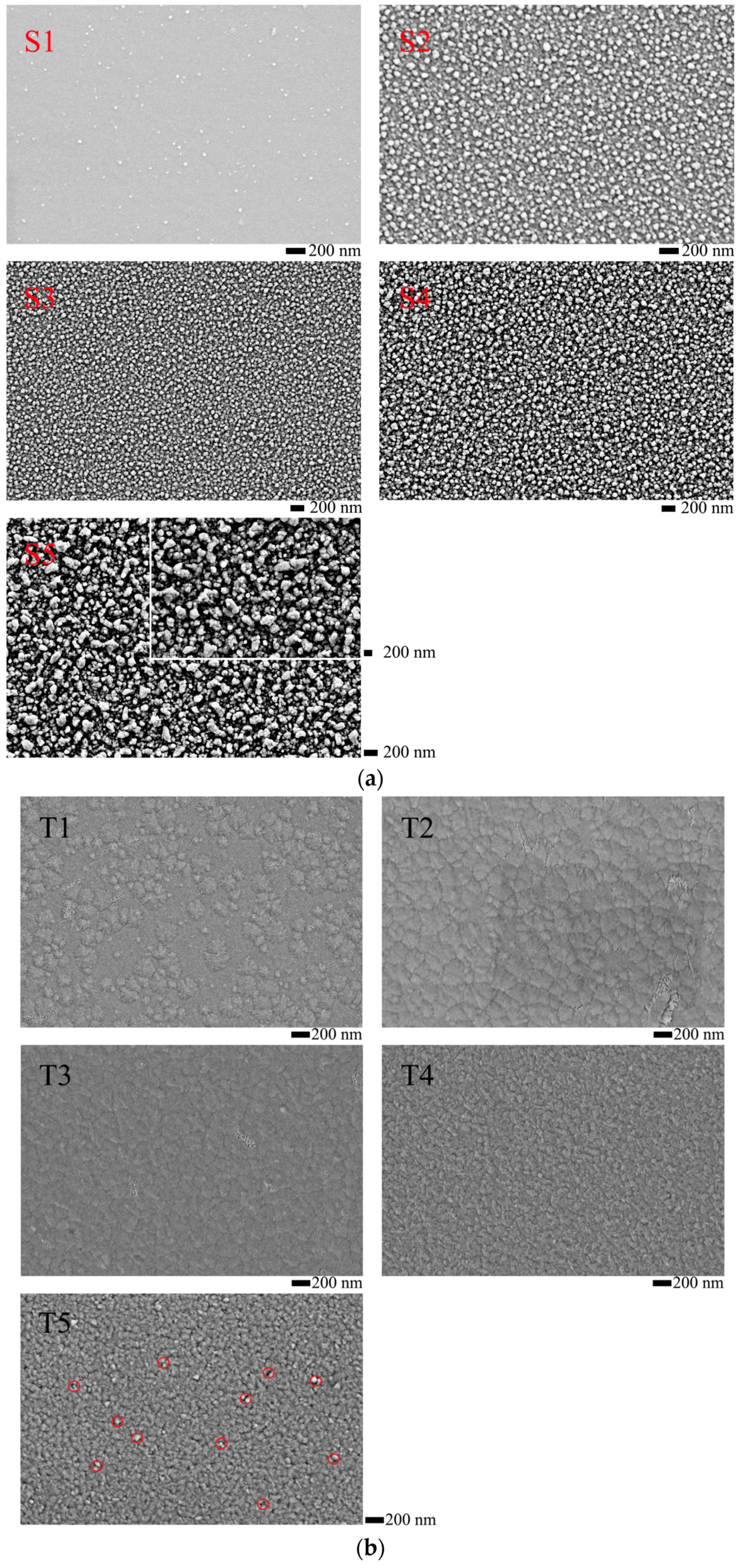 Coatings 07 00205 g003 550