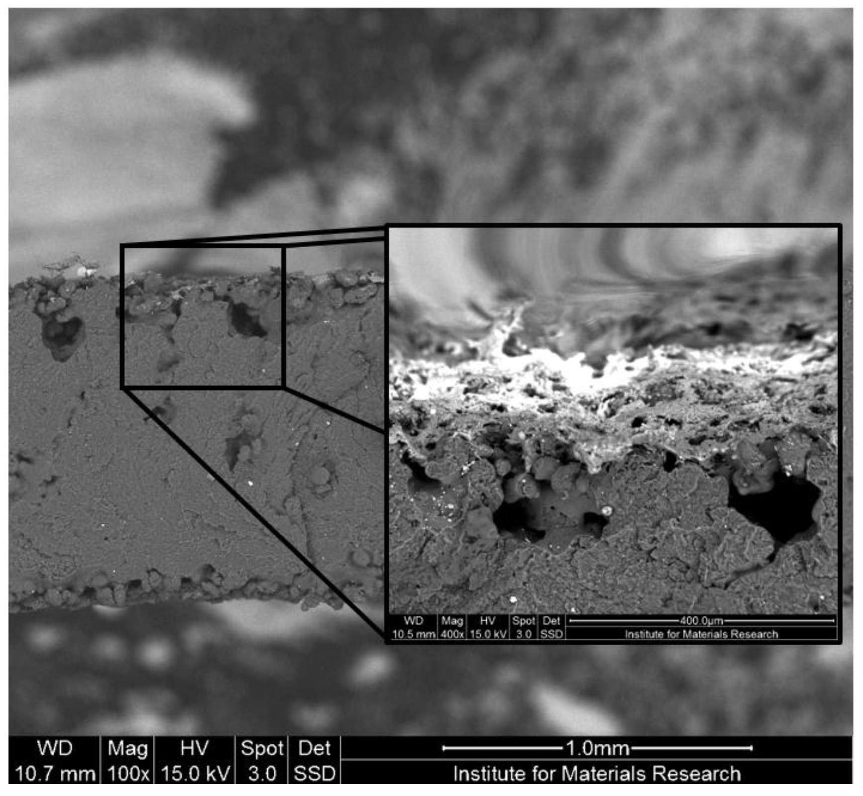 Coatings 07 00208 g006 550