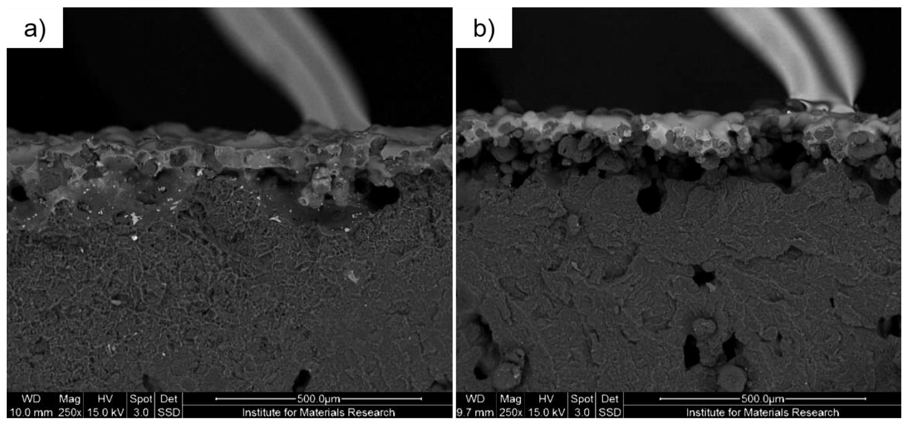 Coatings 07 00208 g007 550