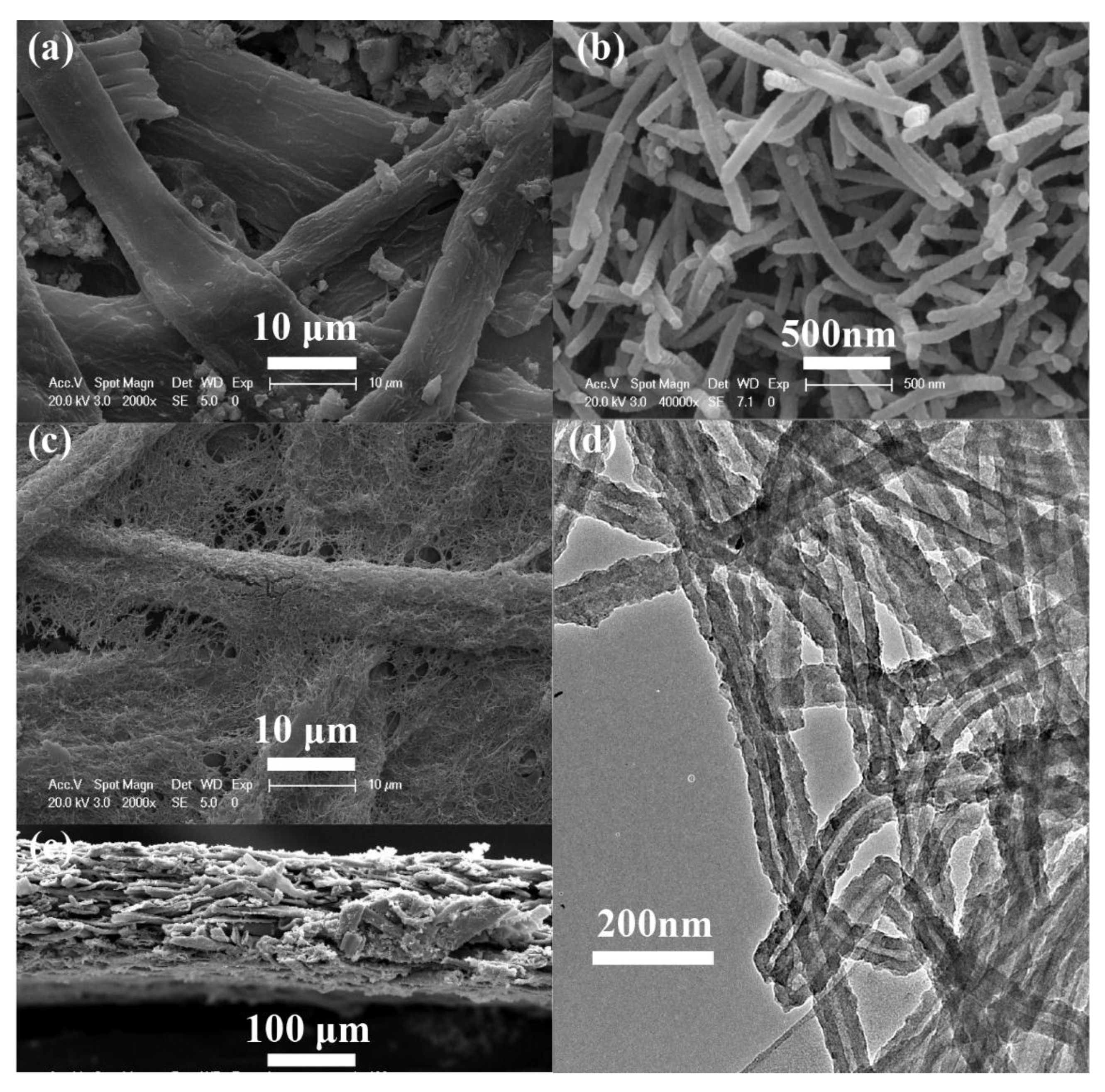 Coatings 07 00211 g002 550