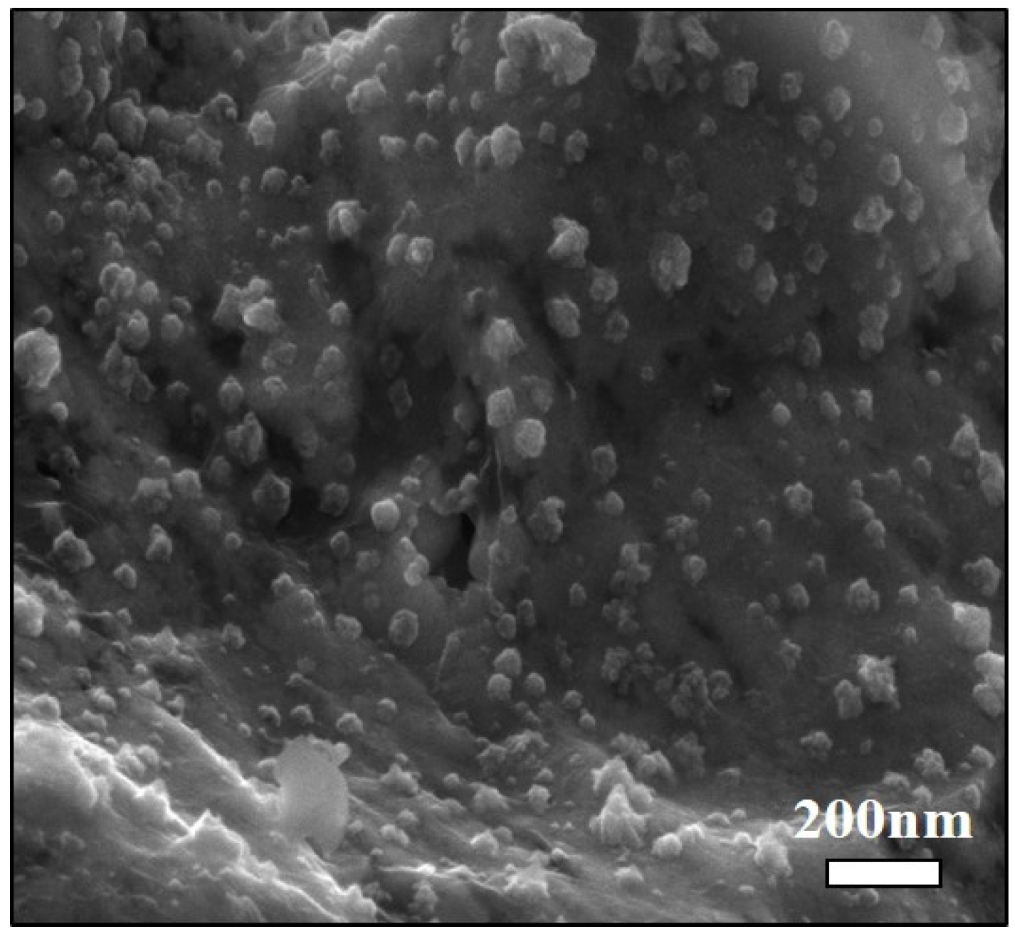 Coatings 07 00214 g011