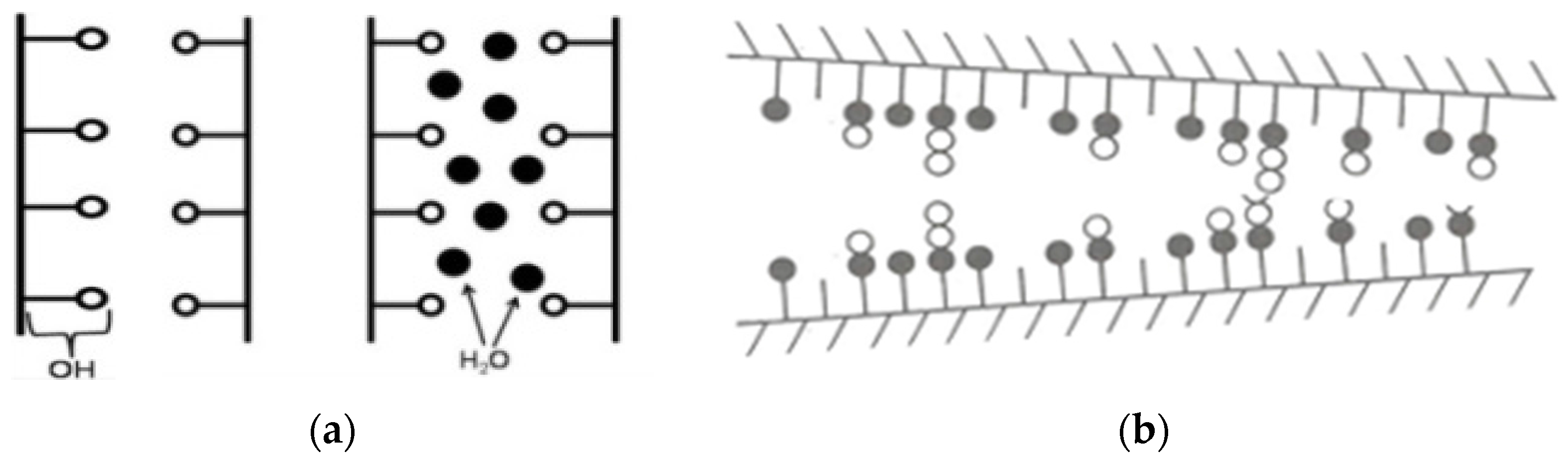 Coatings 07 00219 g001 550