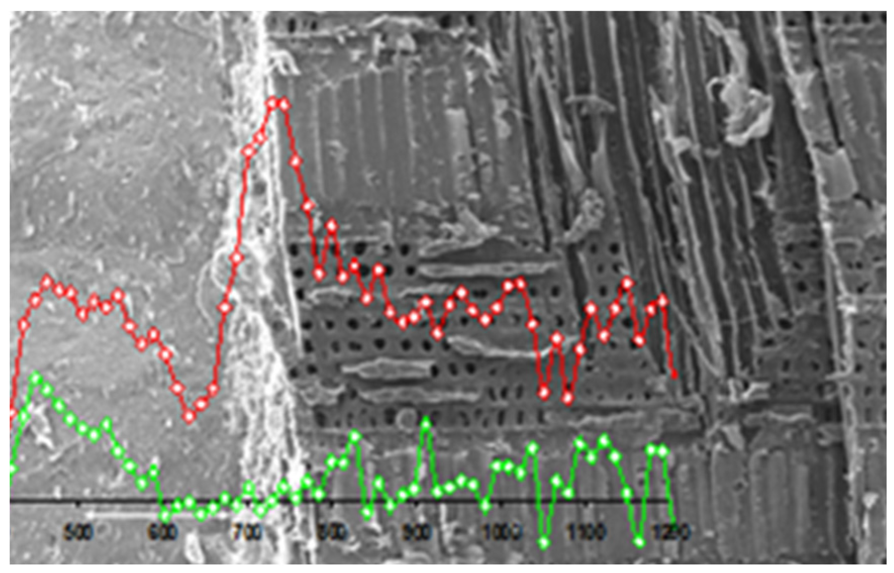 Coatings 07 00219 g005 550