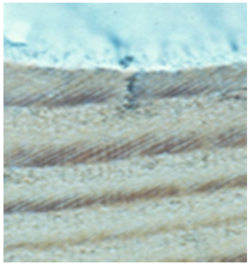 Coatings 07 00219 g008 550