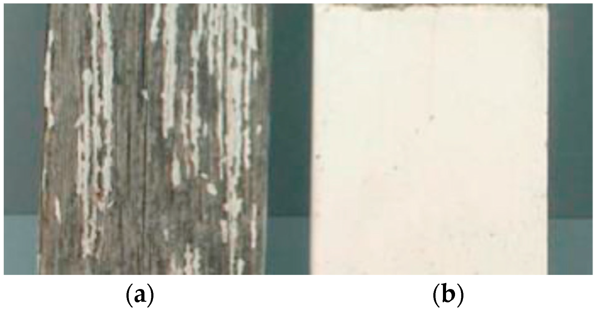 Coatings 07 00219 g013 550