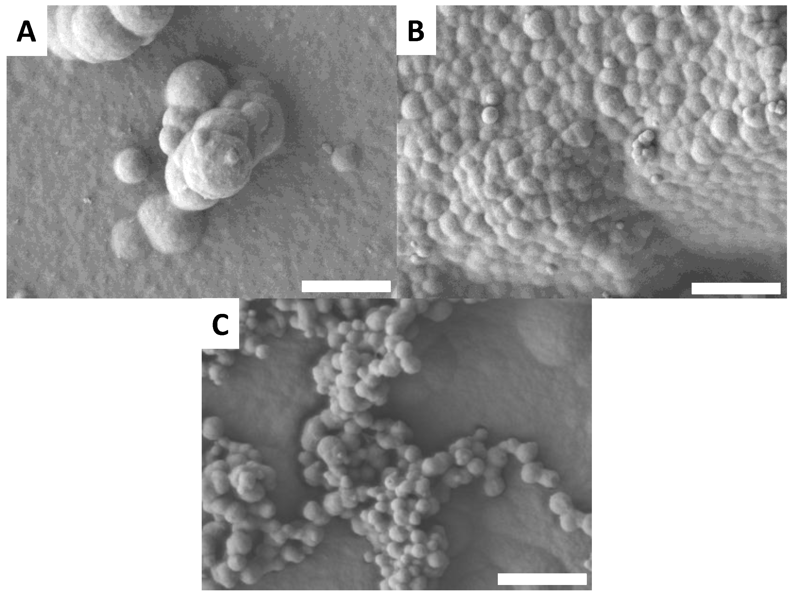 Coatings 07 00220 g007 550