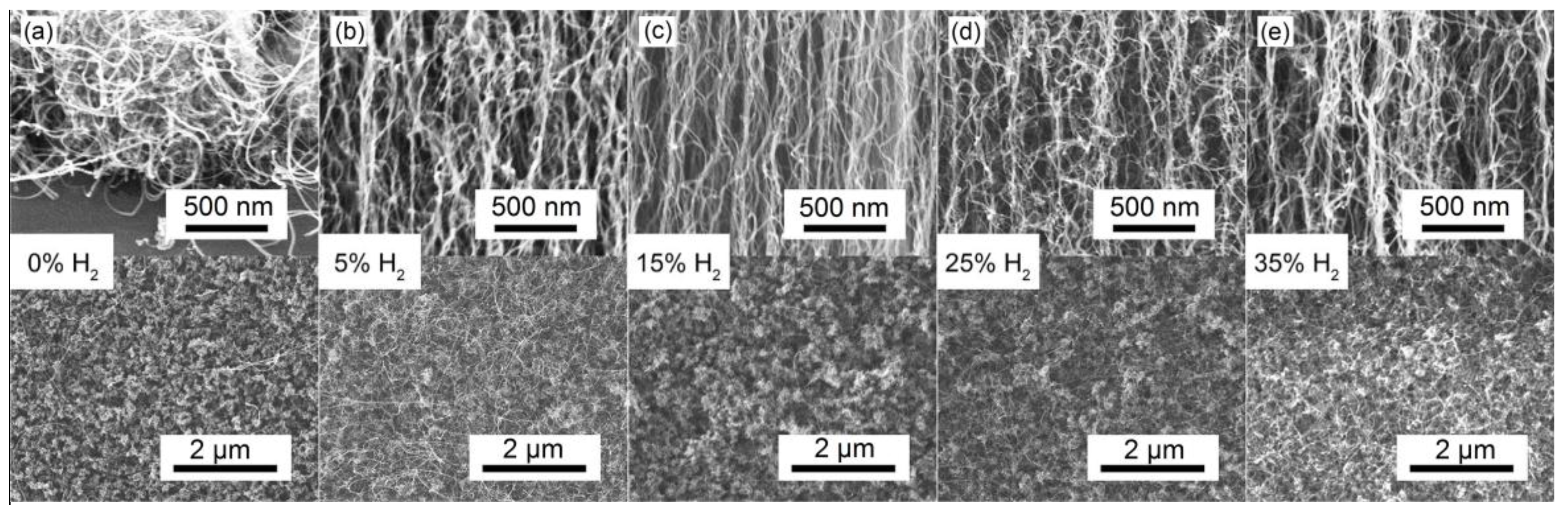 Coatings 07 00221 g001