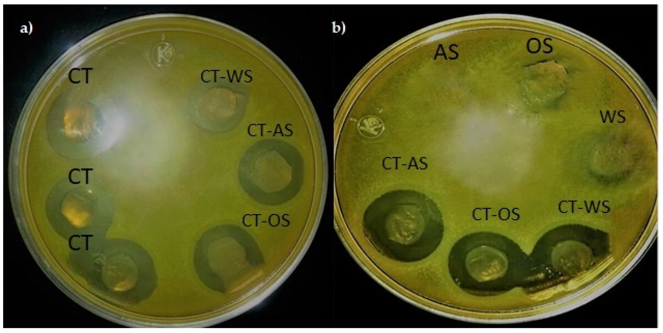 Coatings 07 00224 g004