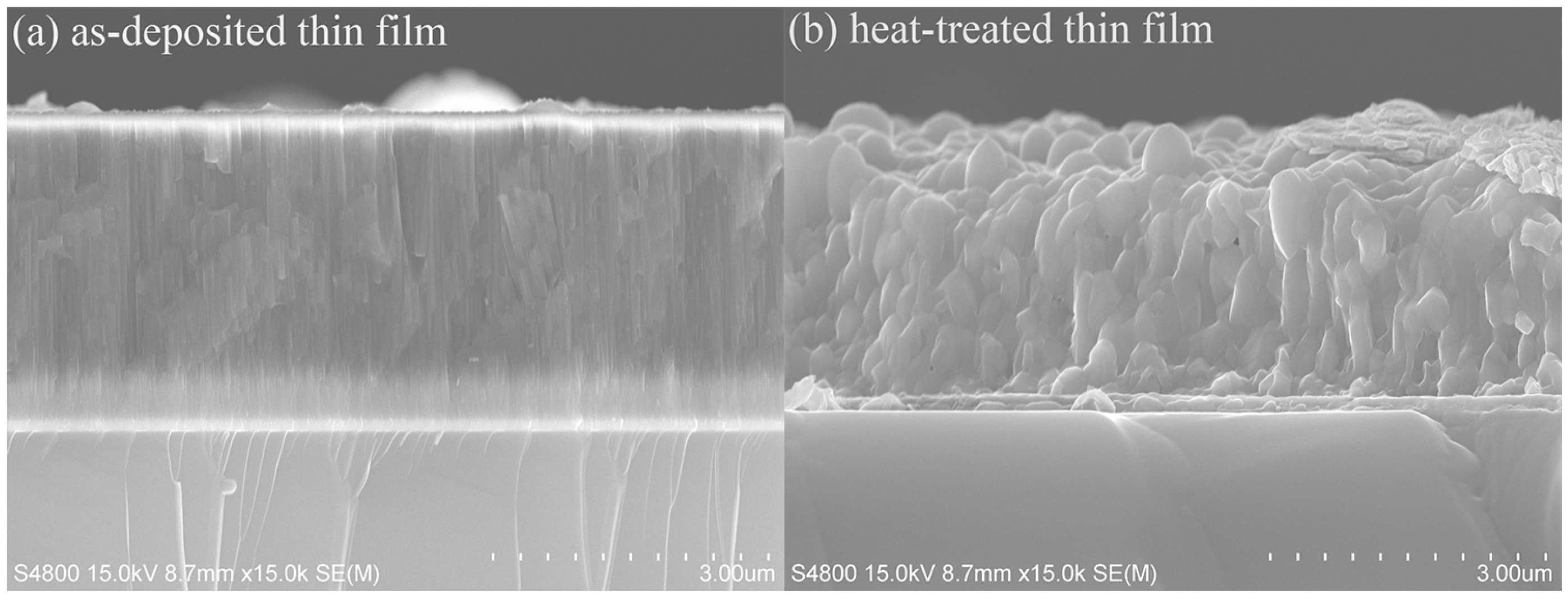 Coatings 07 00225 g005 550