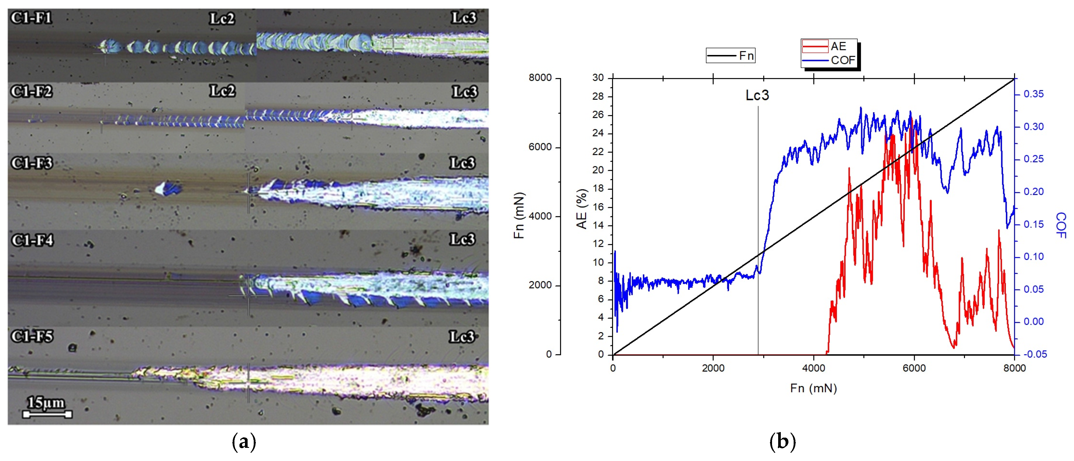 Coatings 07 00228 g004