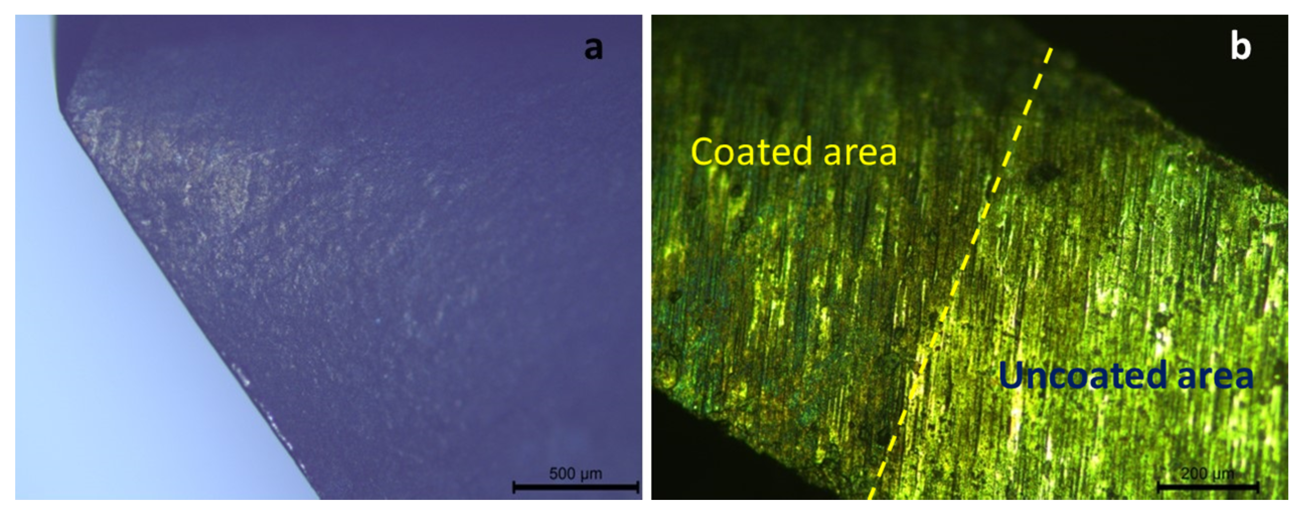 Coatings 07 00228 g007