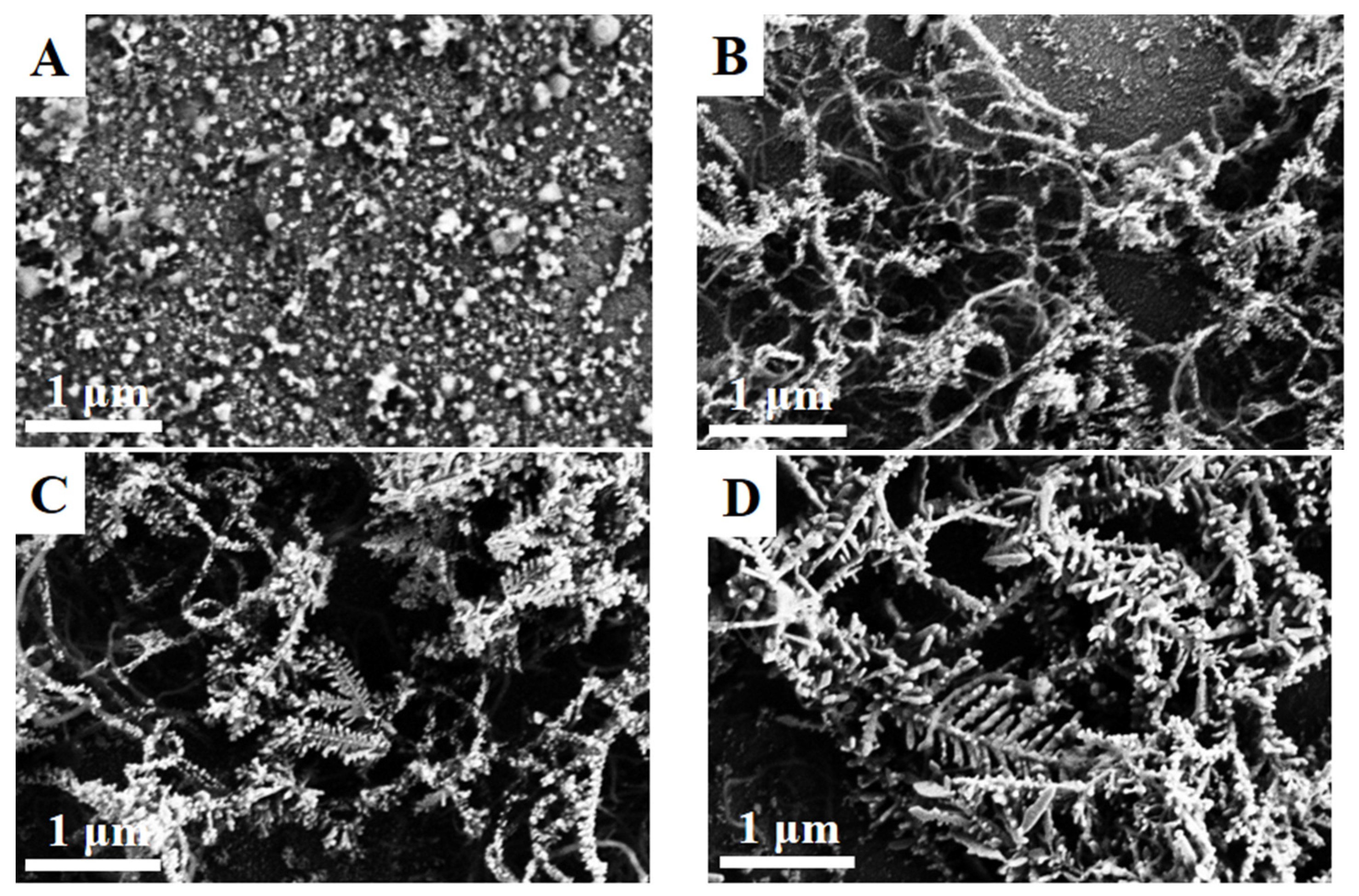 Coatings 07 00232 g001 550