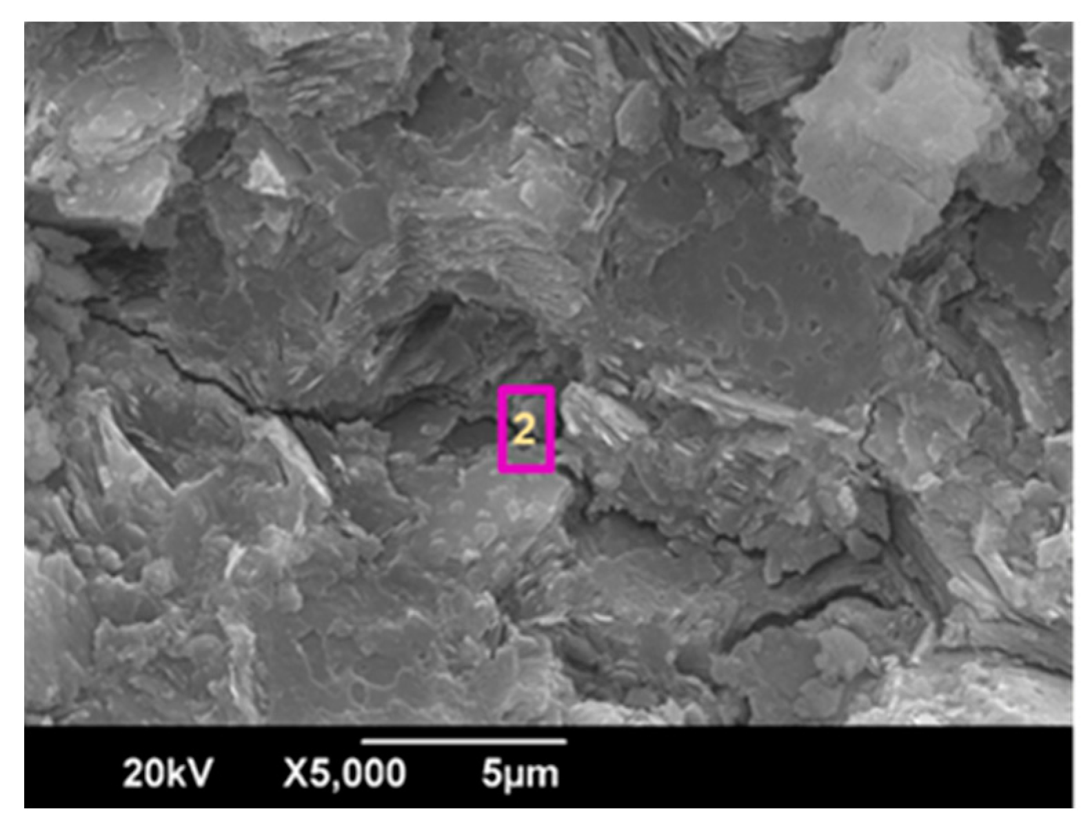 Coatings 07 00233 g011 Coatings 07 00233 g011