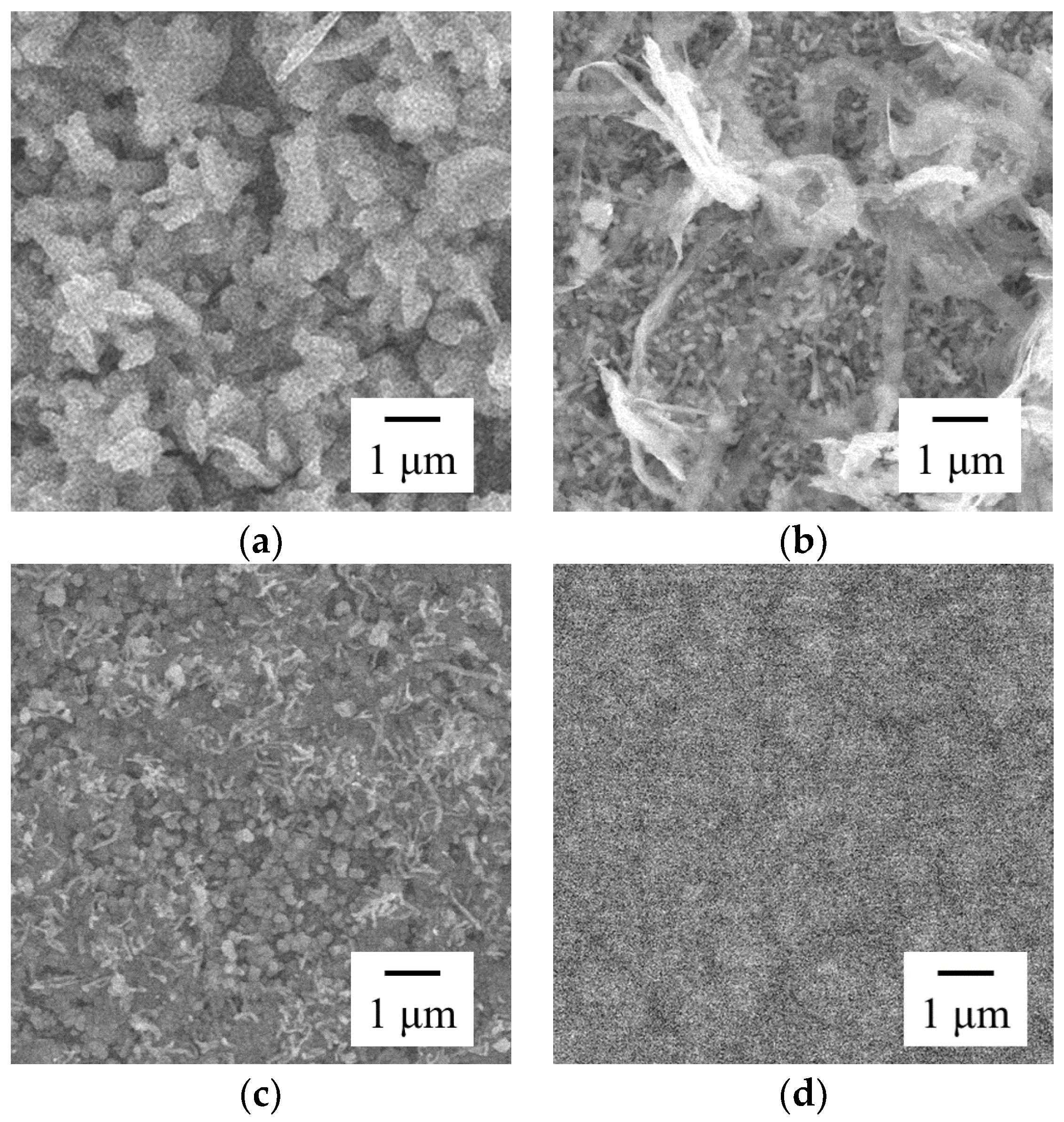 Coatings 07 00235 g006